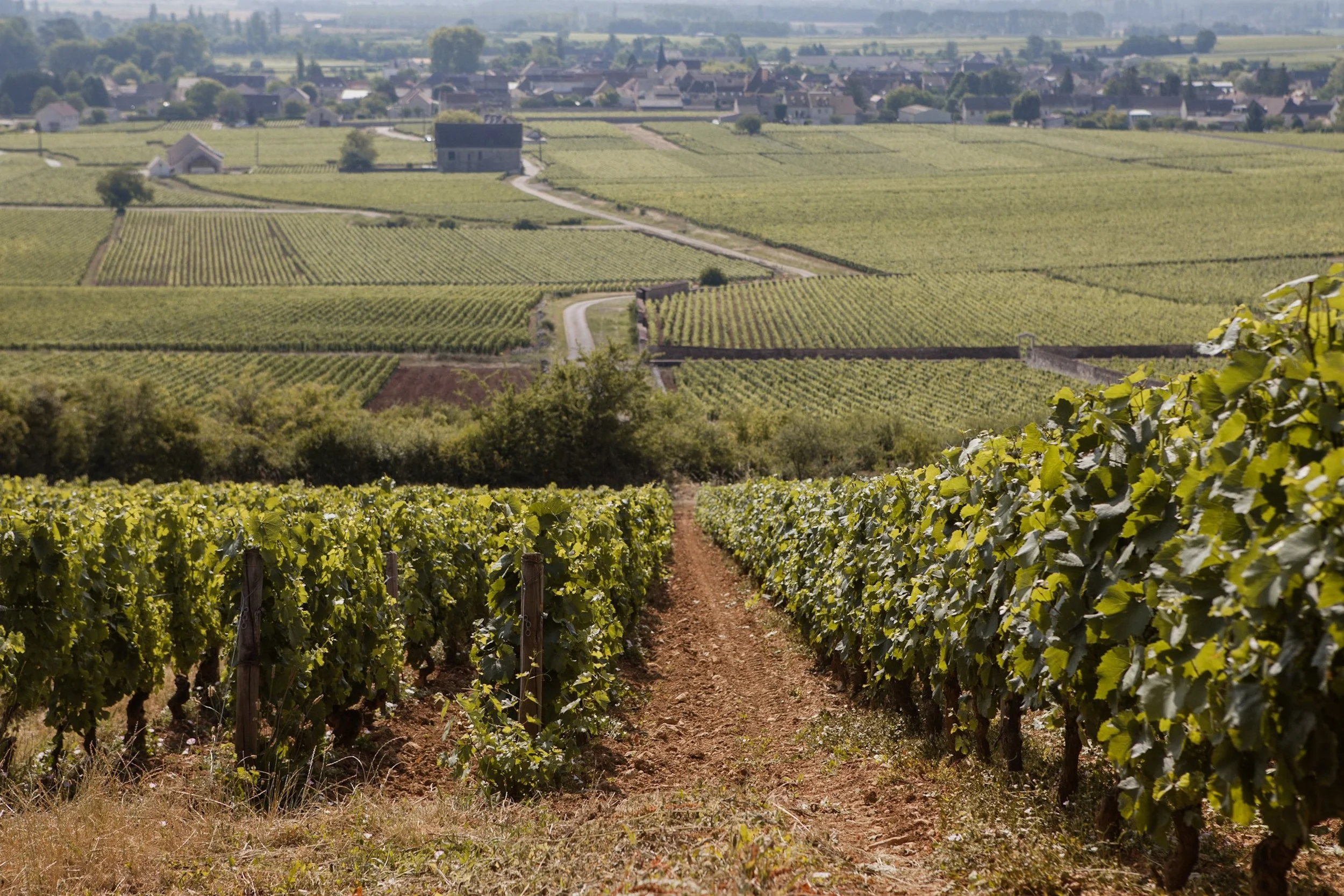 Burgundy: France's Cozy Nook 