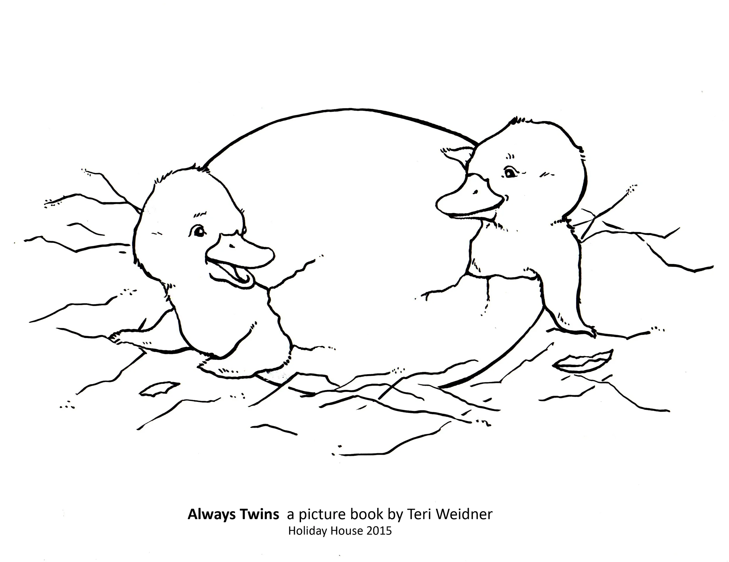 Hatching Type.jpg