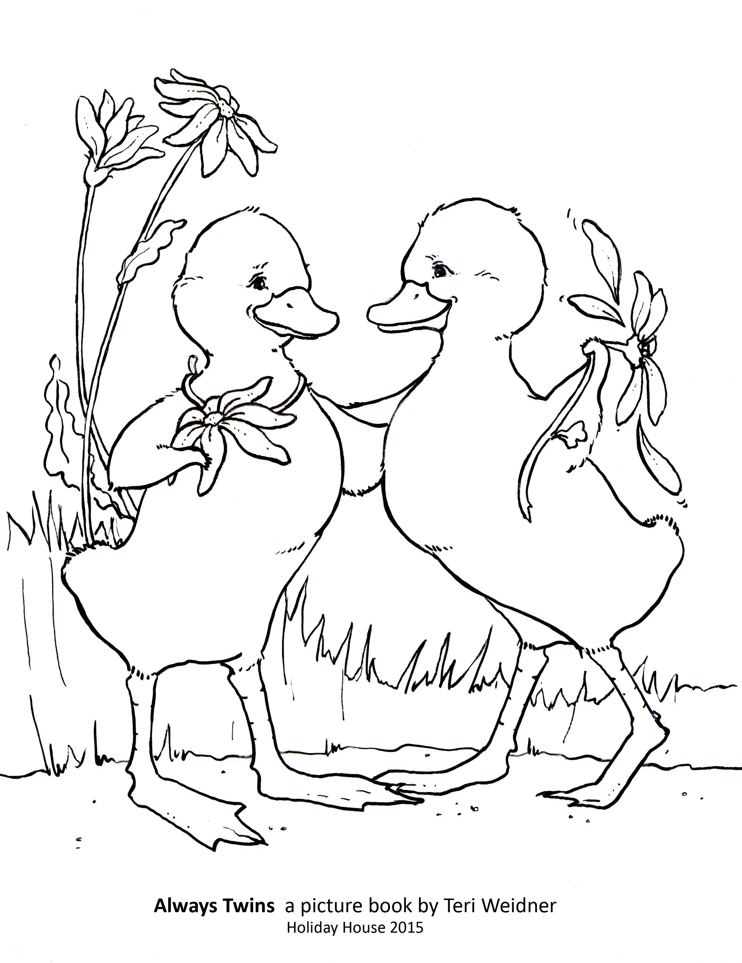 Lily and Olivia Type.jpg