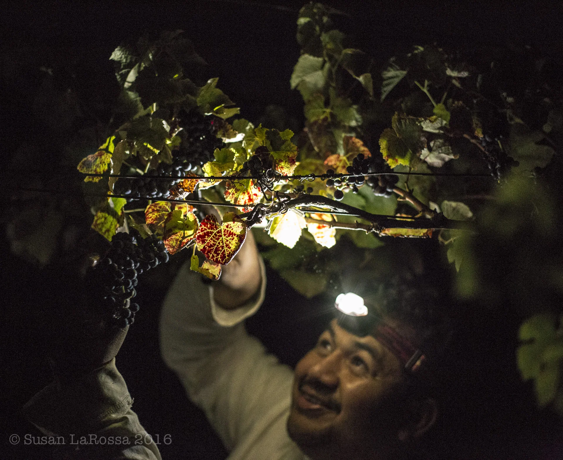 cutting overhead-2.jpg