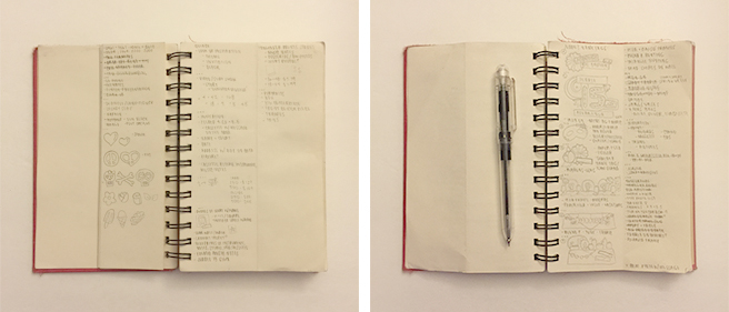 -pages of tiny notes and lists.