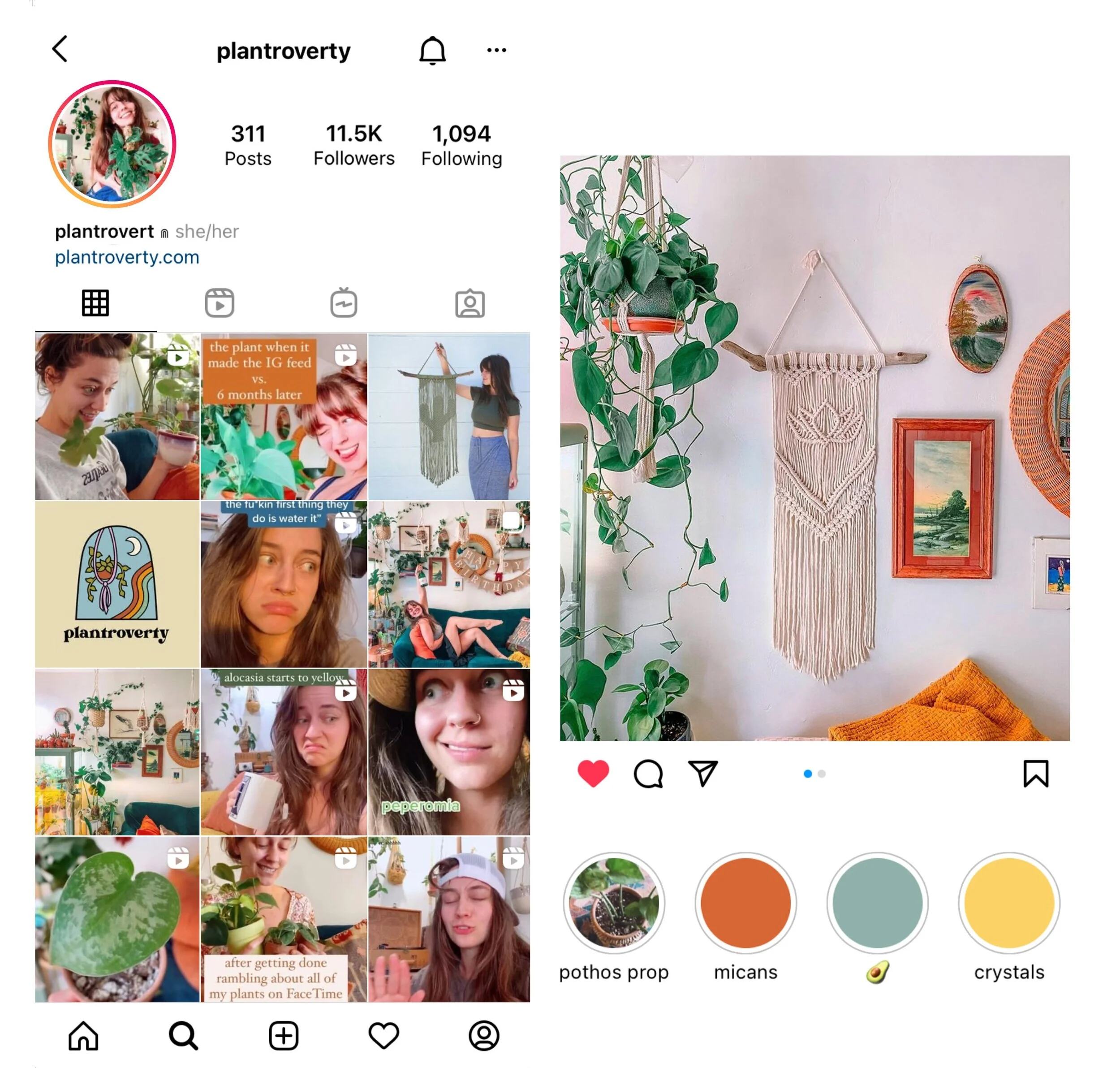 plantroverty-insta.jpg