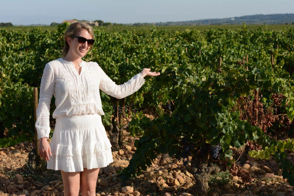 chateauneuf-du-pape-vineyard-1.jpg