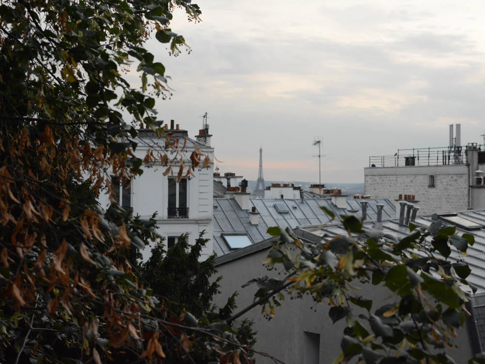 paris-rooftops-montmarte-3.jpg
