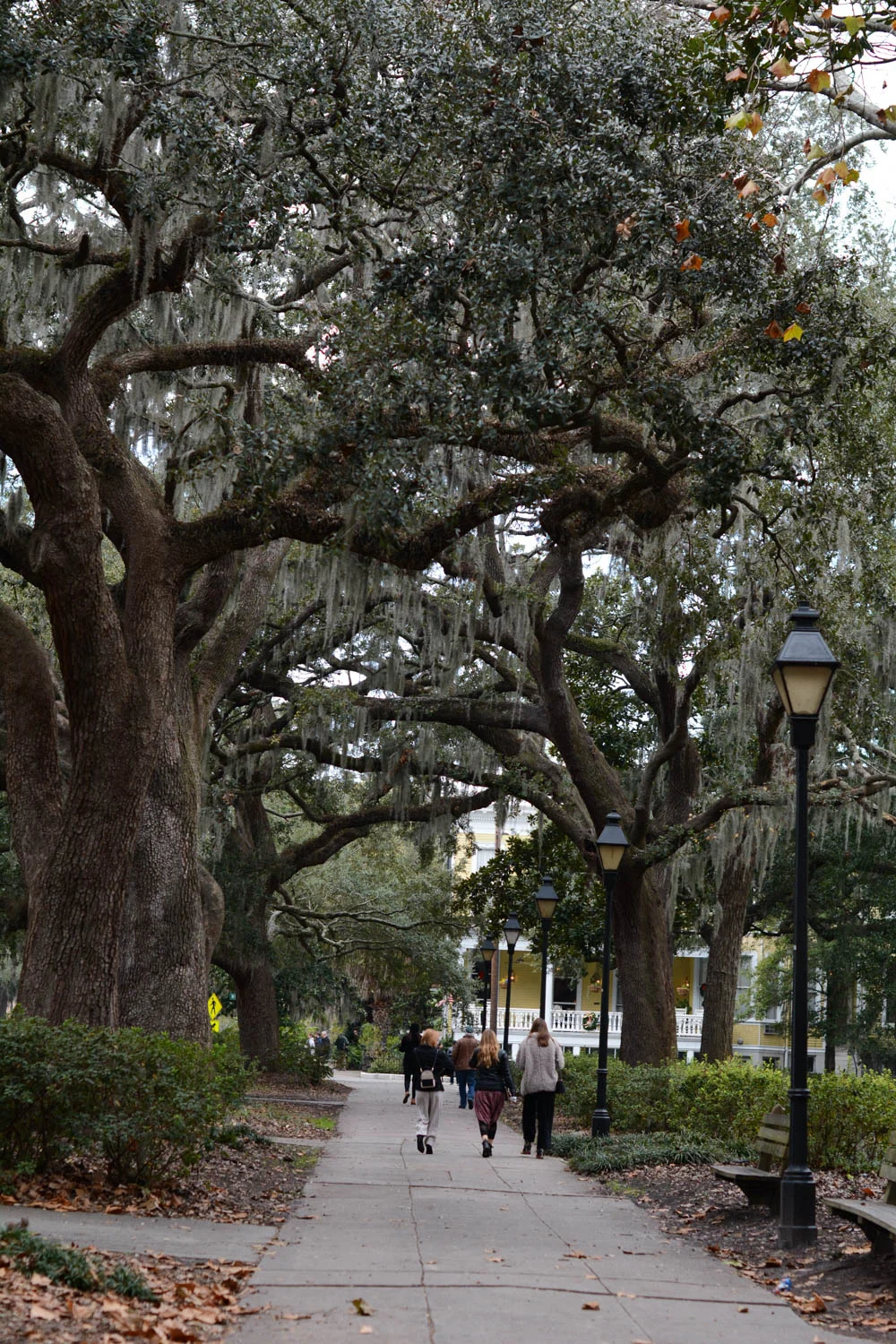 savannah-forsyth-park-2.jpg