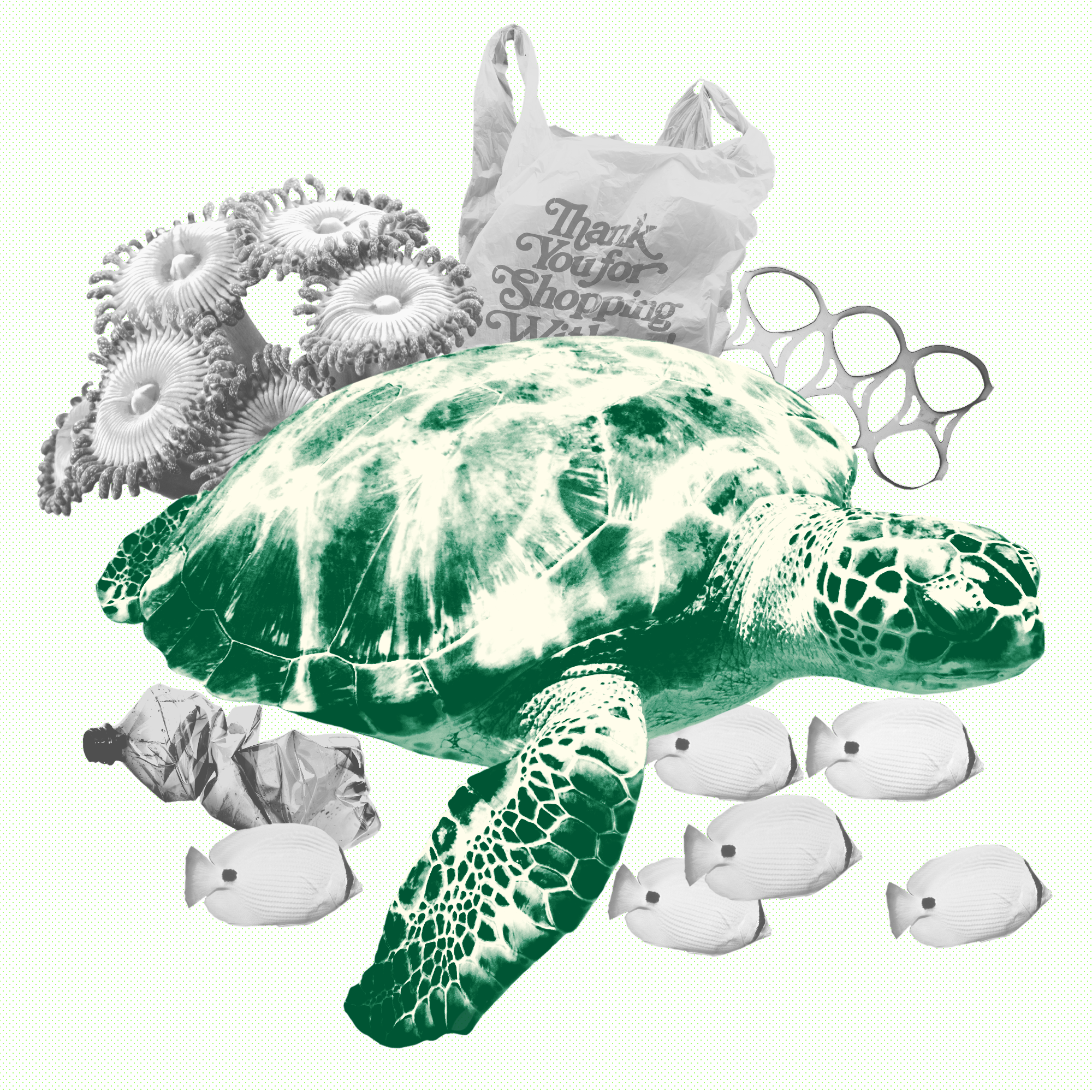 6 Ways You Can Be More Eco-Friendly Right This Second