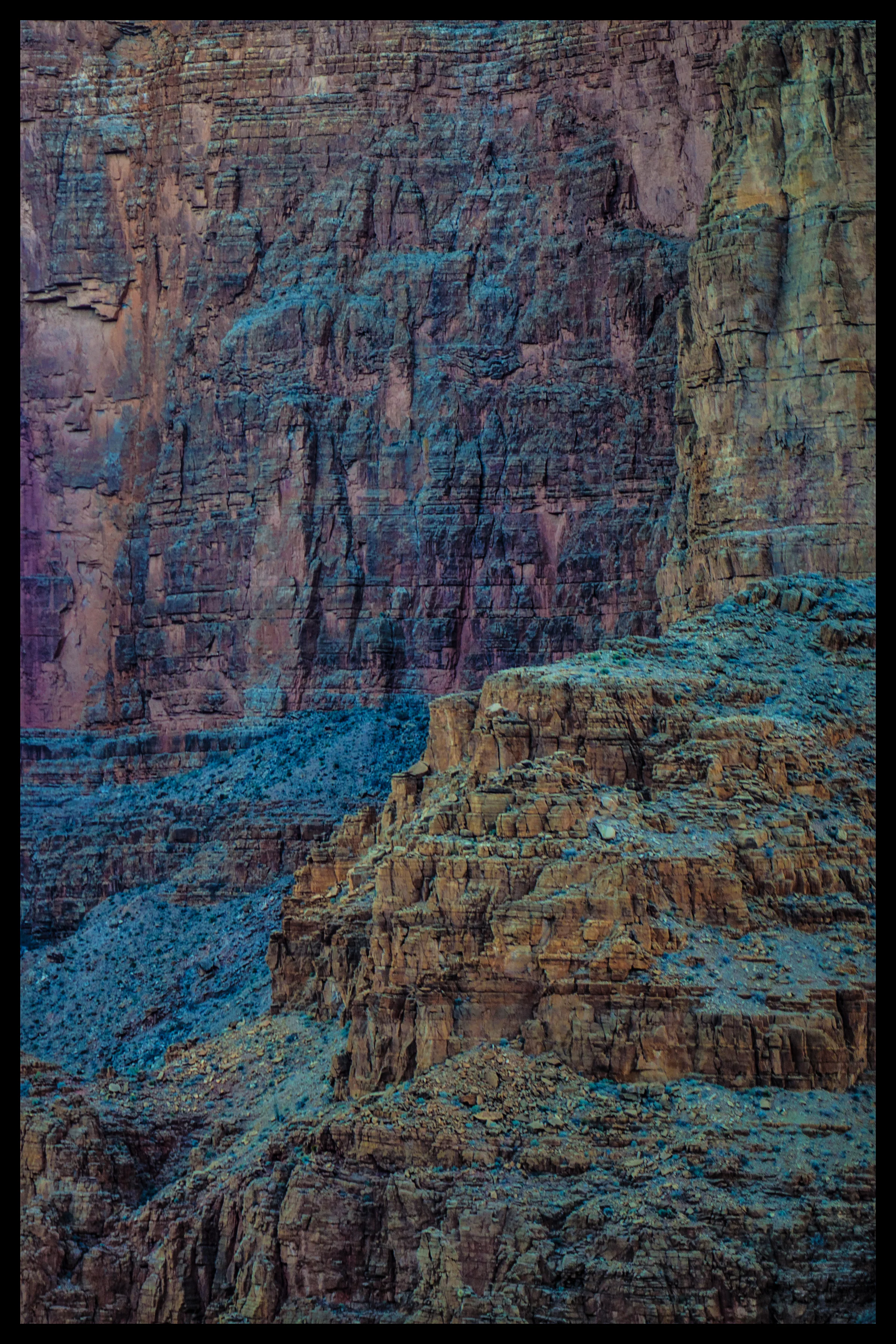 137A9206-Edit.jpg