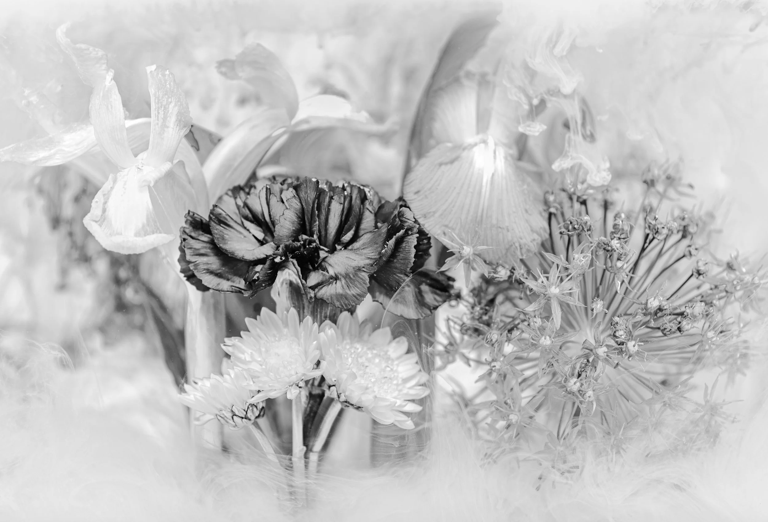 137A0610-Edit.jpg