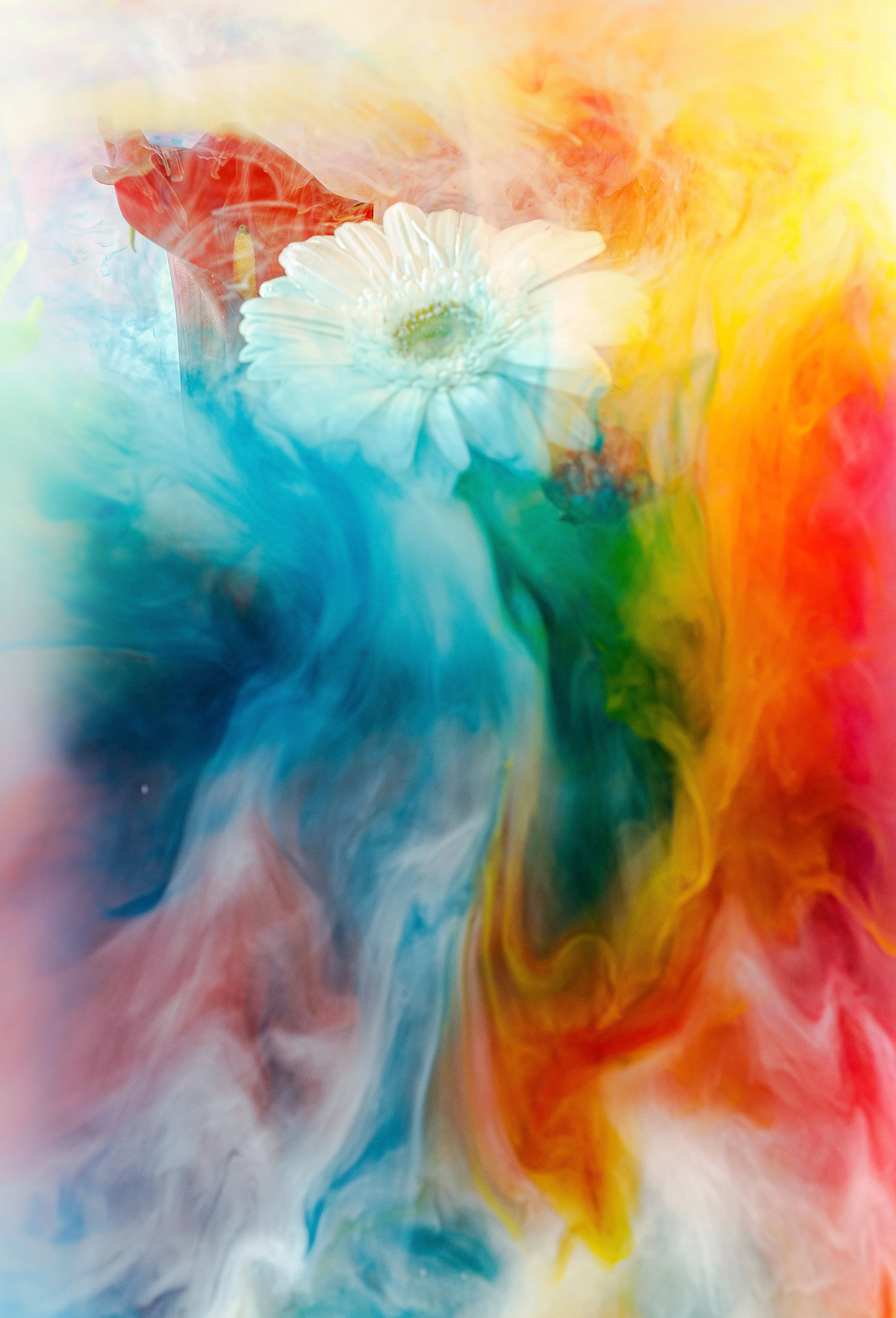 137A1041-Edit.jpg