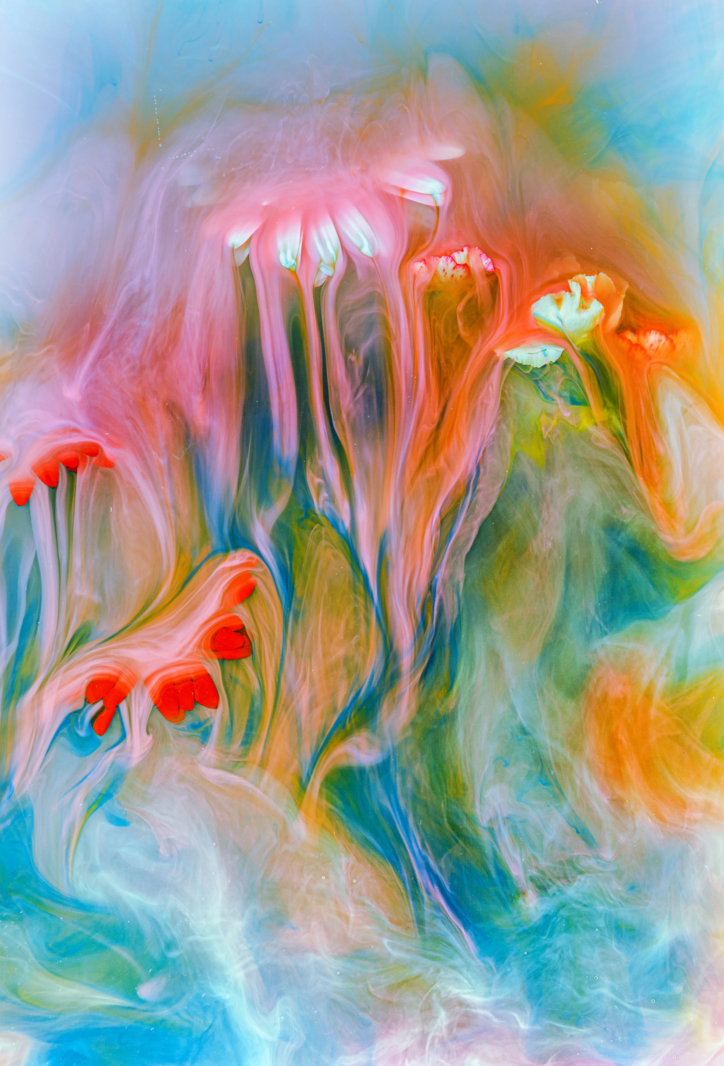 137A1077-Edit.jpg