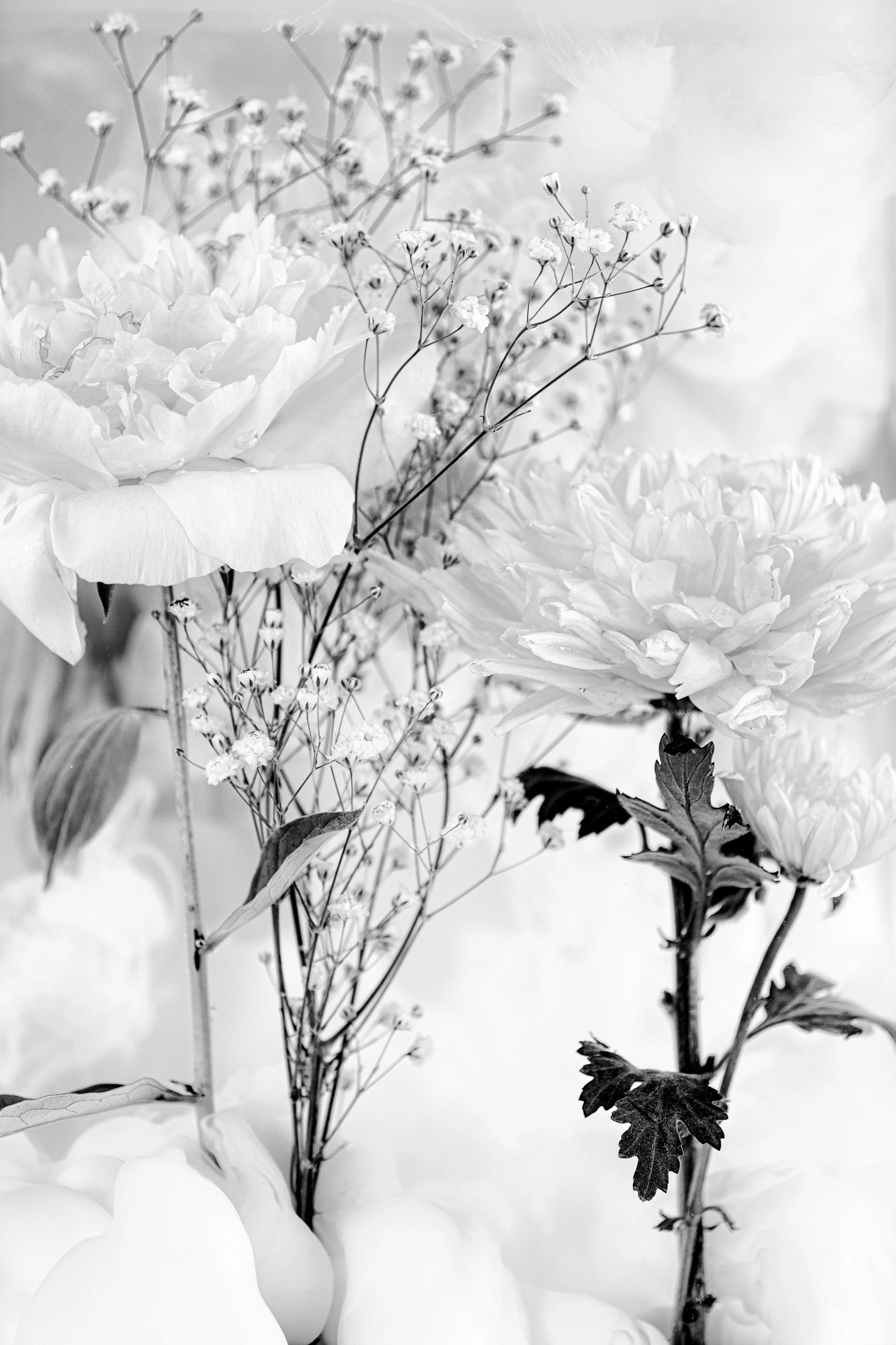 137A1383-Edit-2-Edit-2.jpg