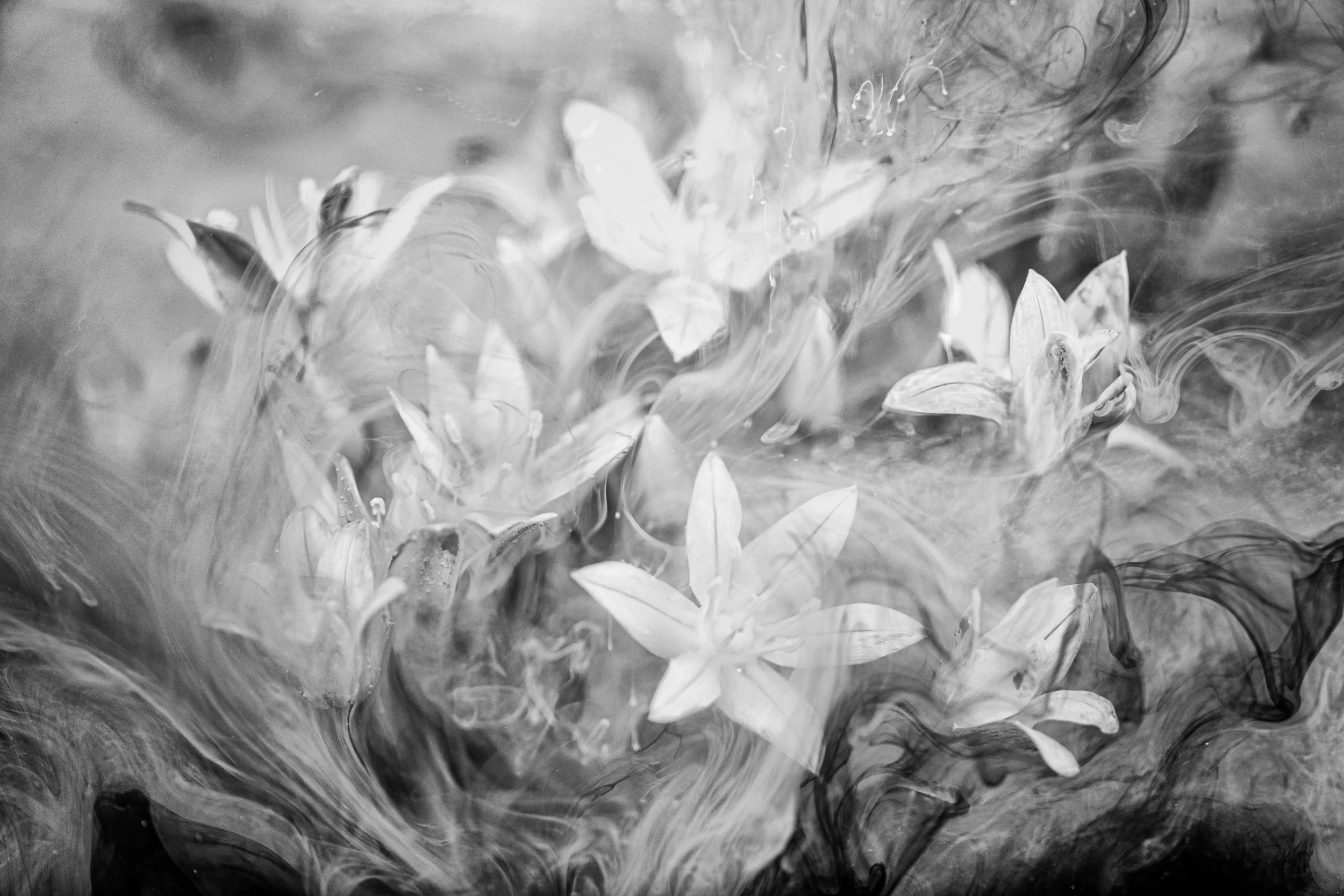 137A1865-Edit-3.jpg