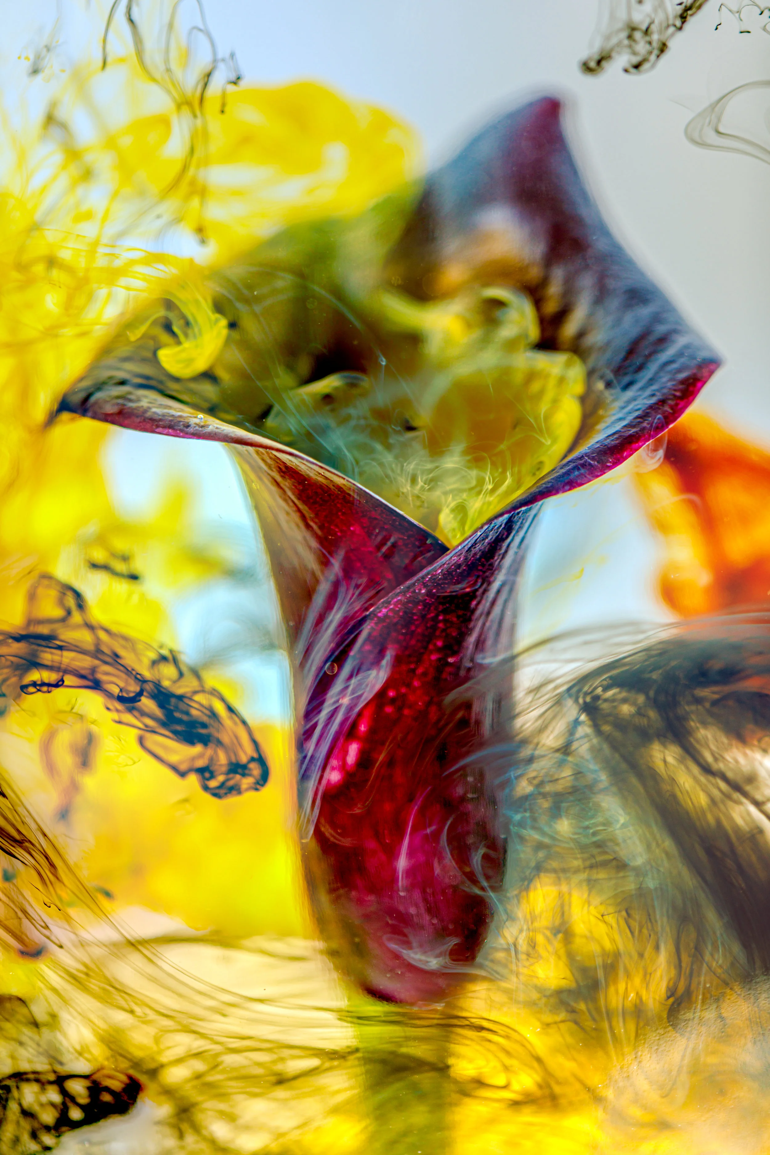 137A2332-Edit.jpg