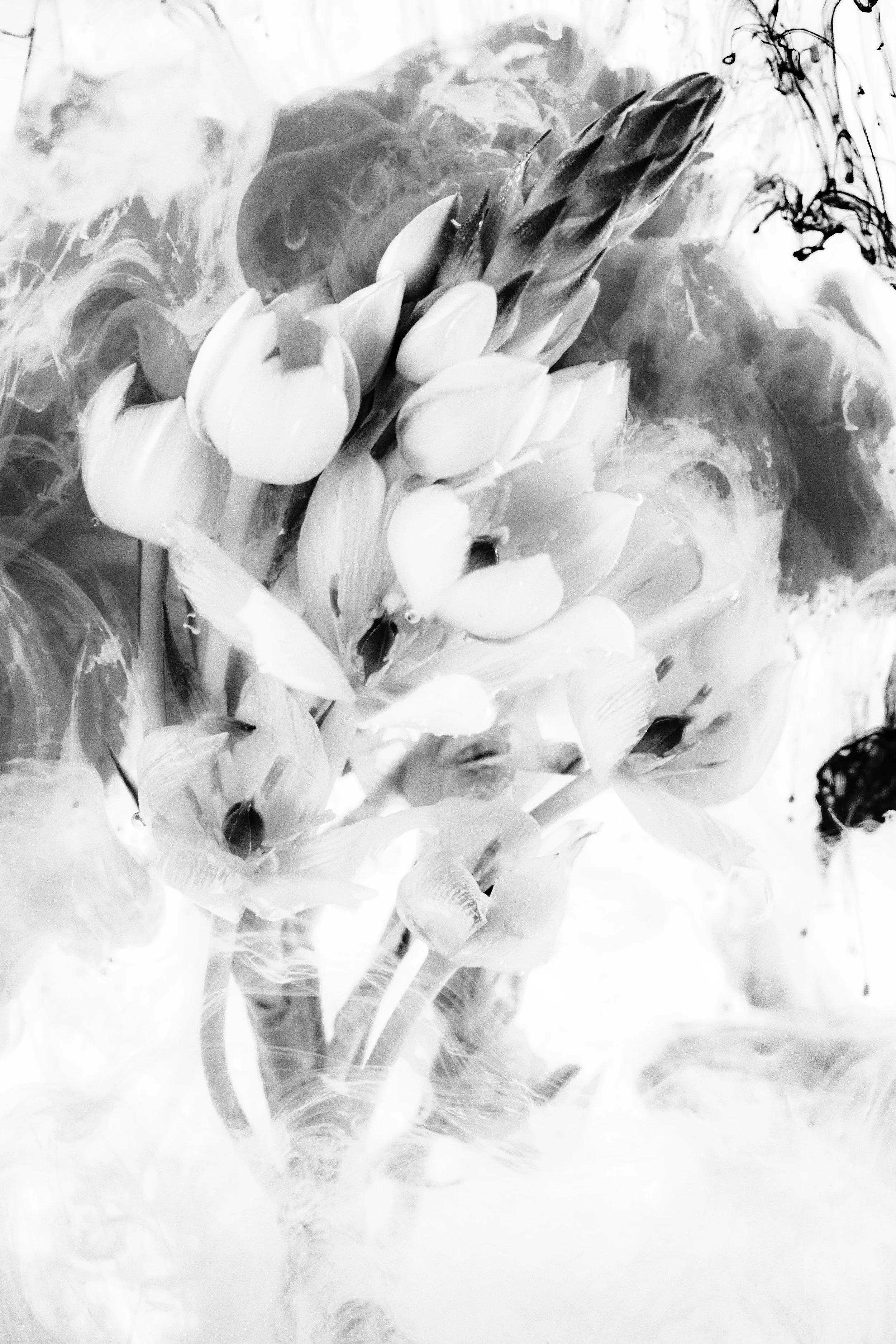 137A2751-Edit.jpg
