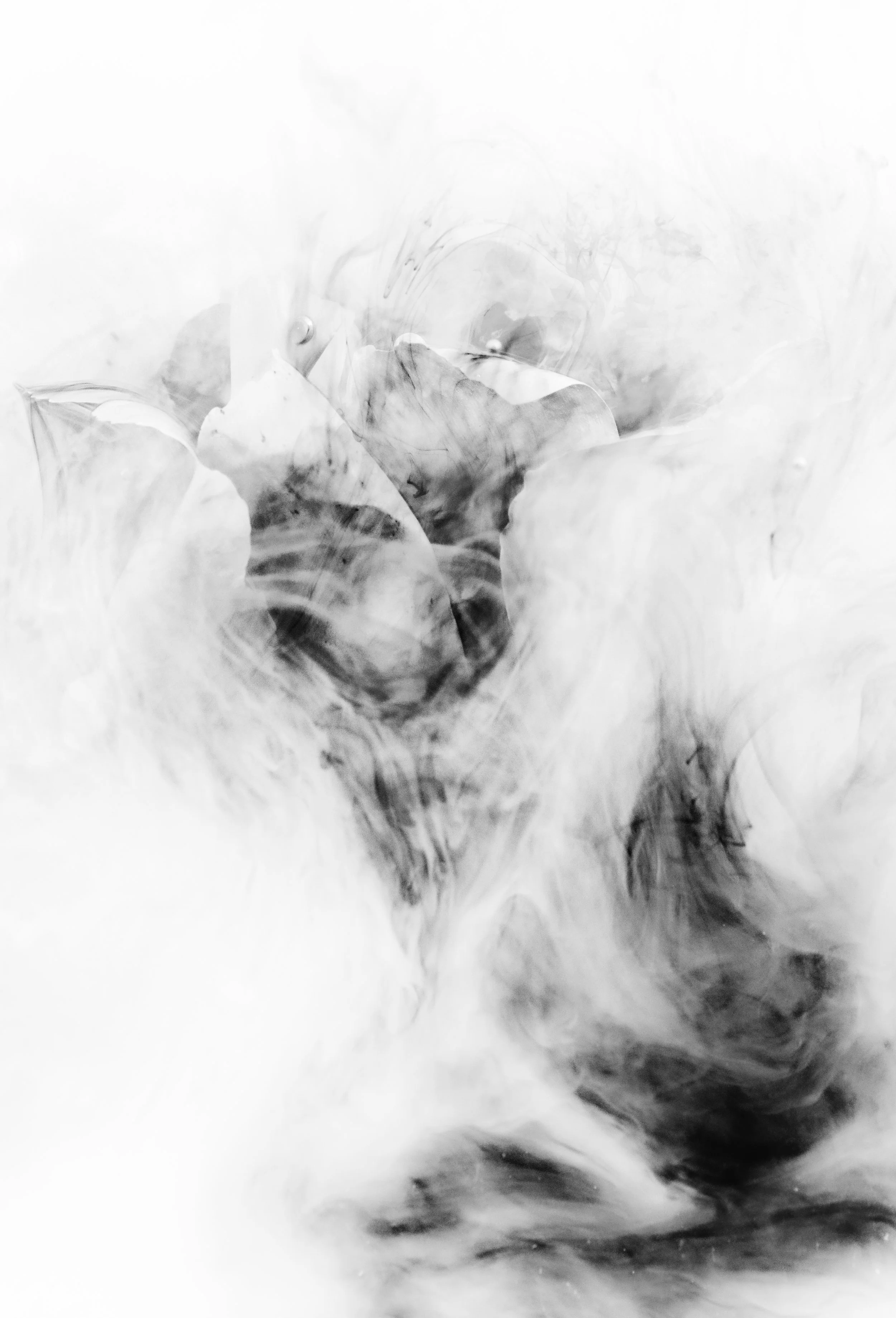 137A4283-Edit-Edit.jpg