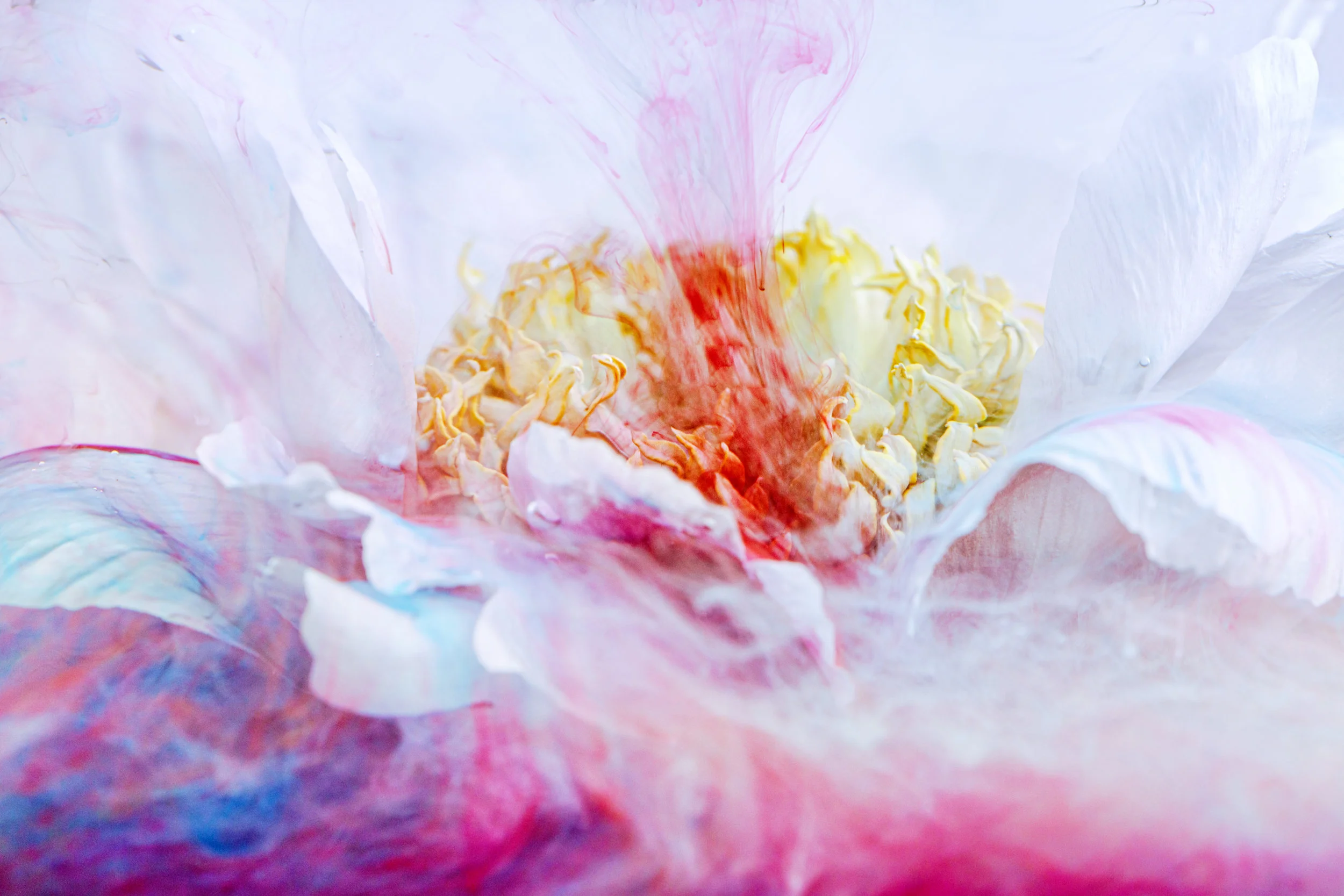 137A4435-Edit.jpg