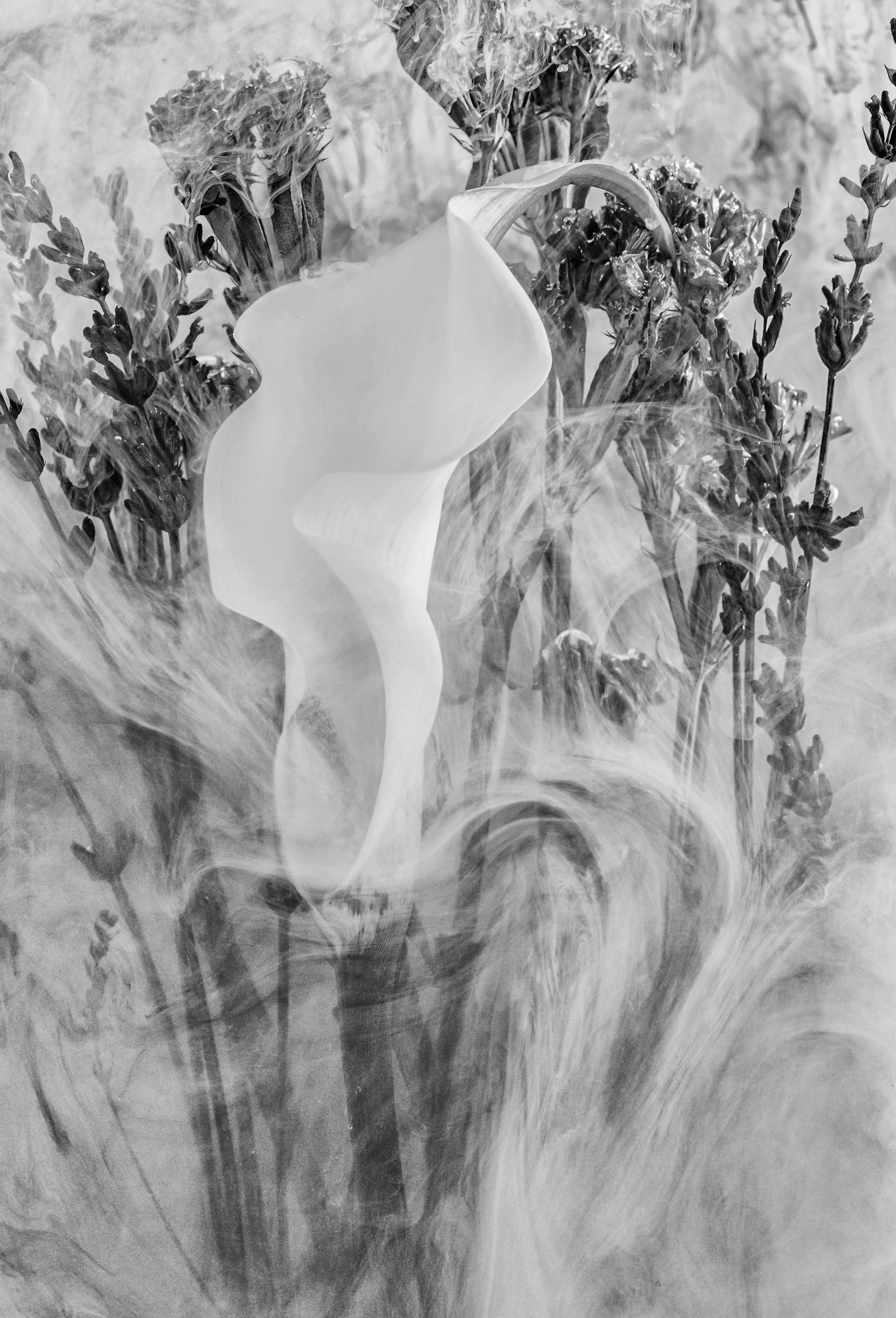 137A5382-Edit-3-Edit.jpg