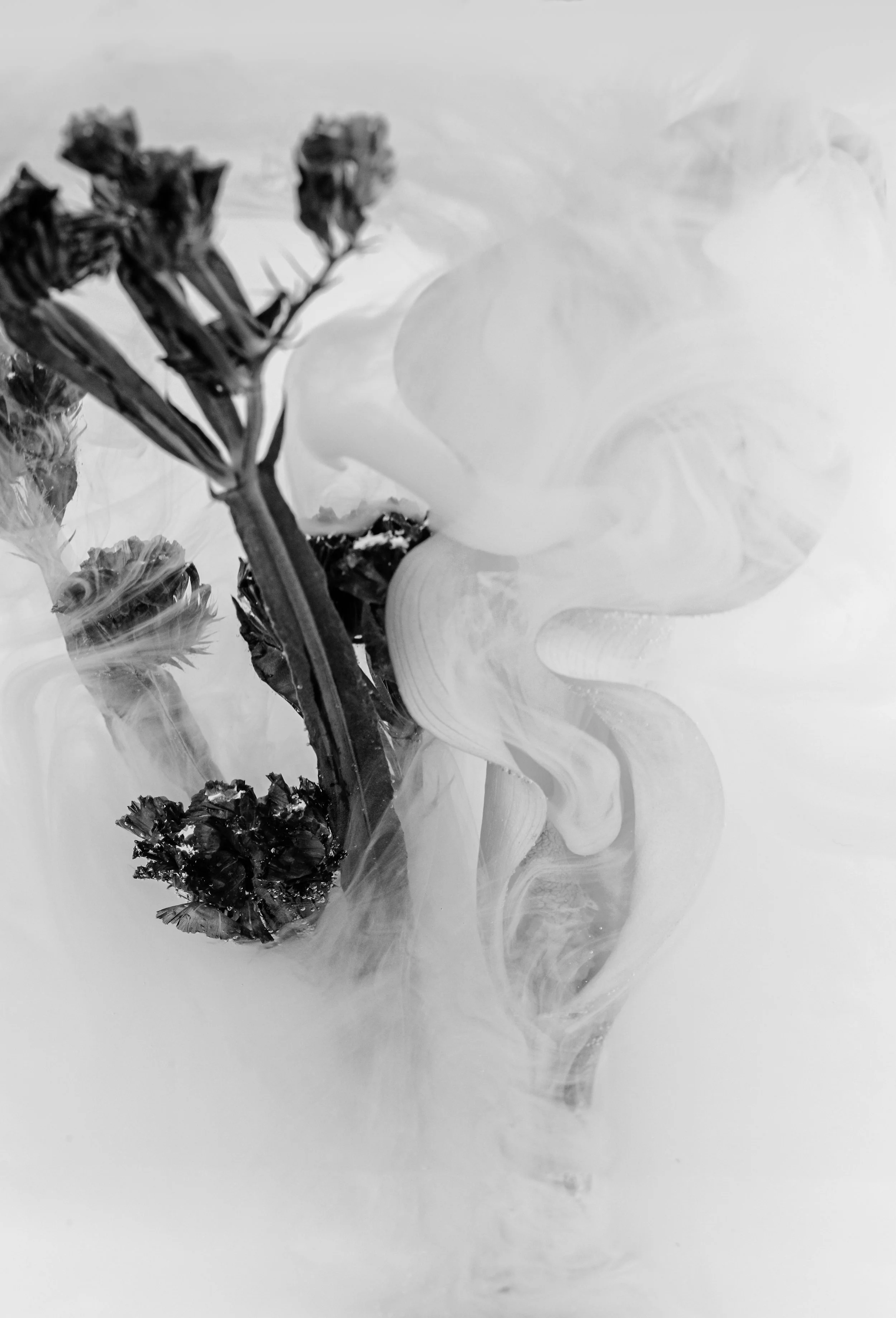 137A5704-Edit-2.jpg
