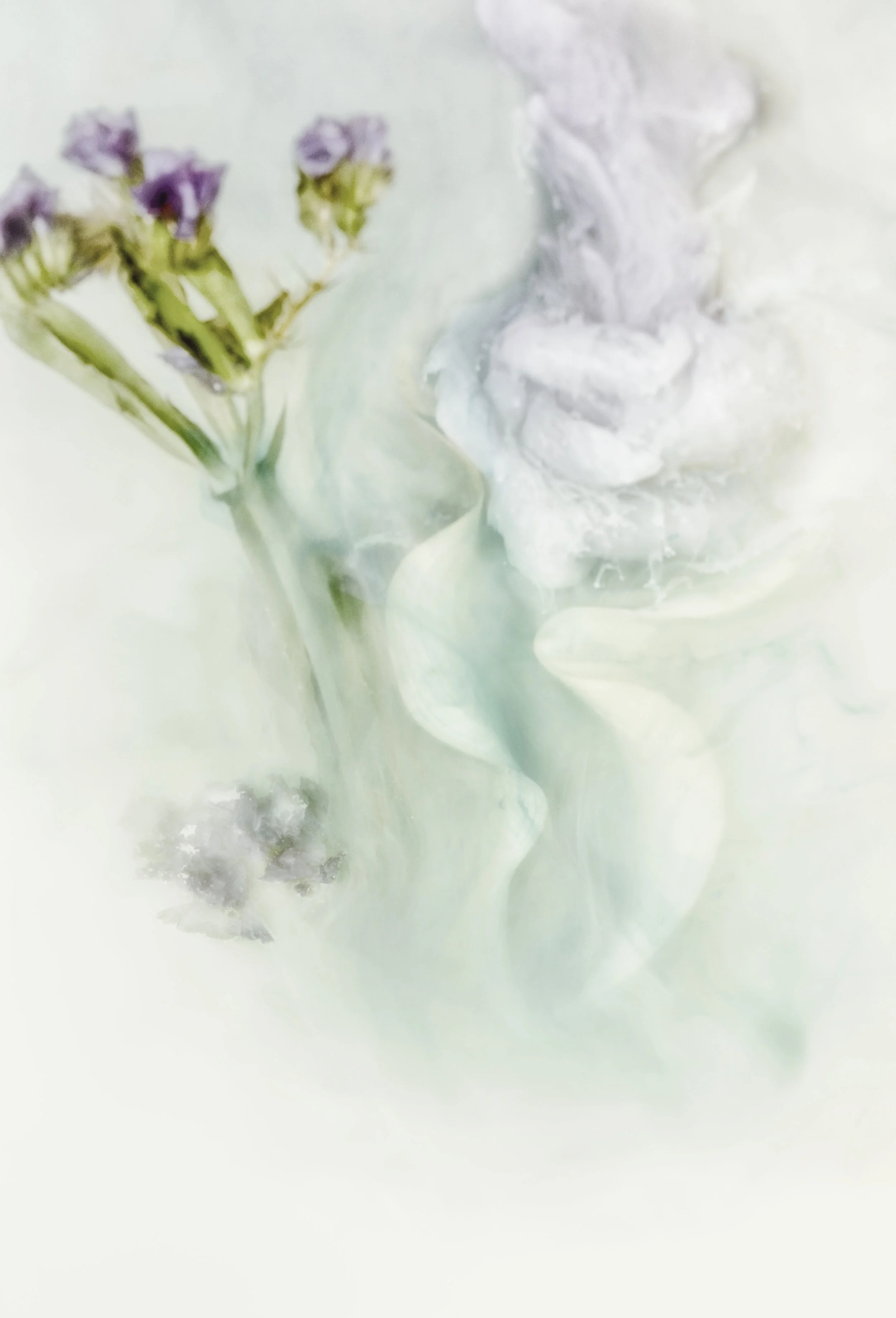 137A5858-Edit.jpg