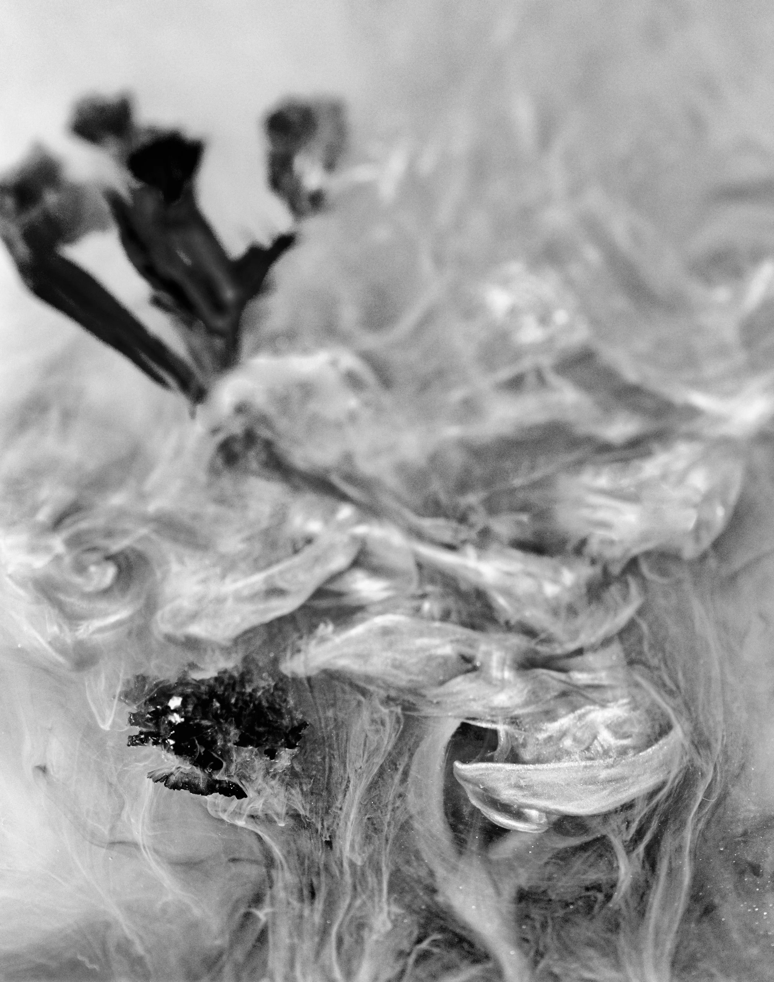 137A5980-Edit-2.jpg