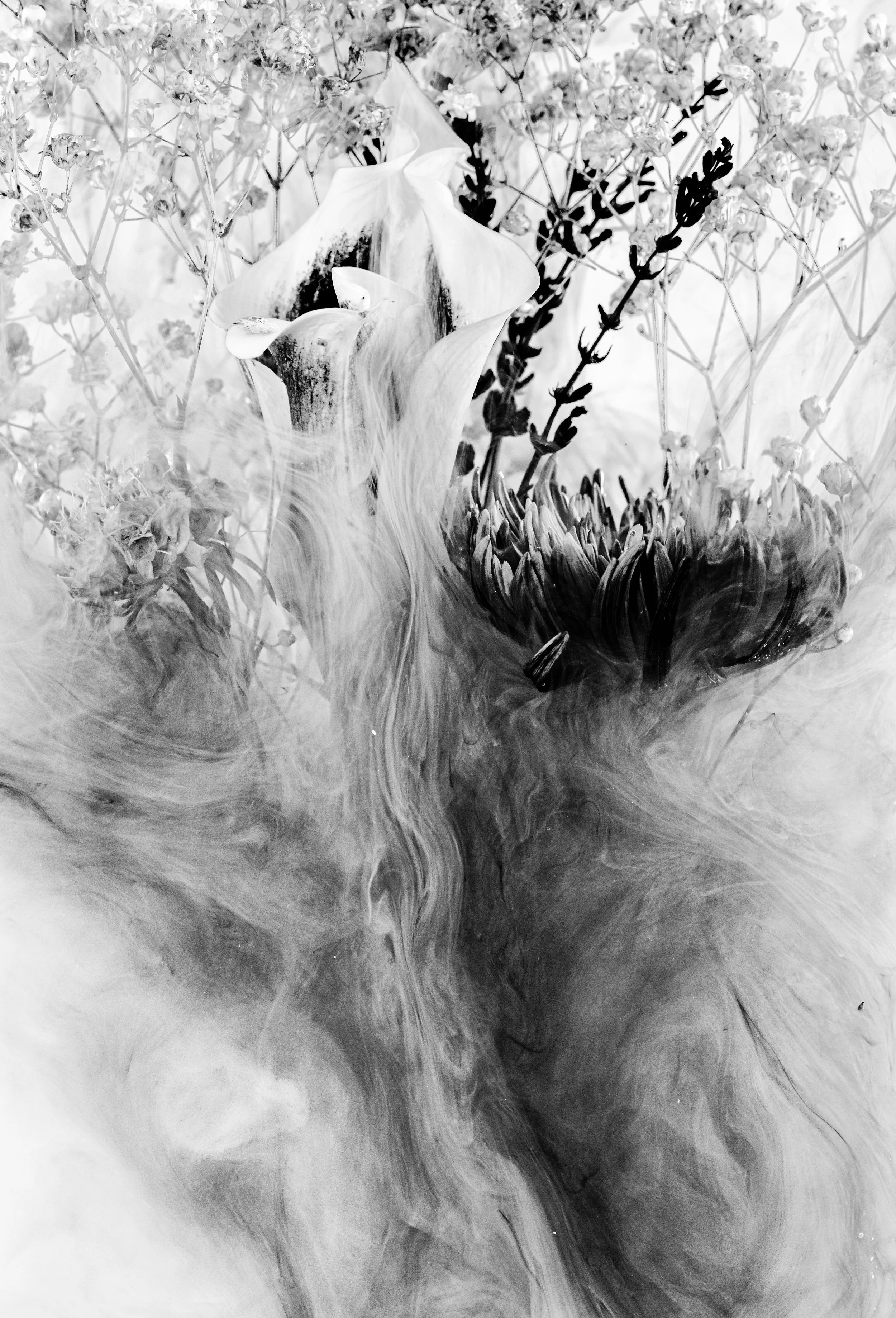 137A6683-Edit-Edit.jpg
