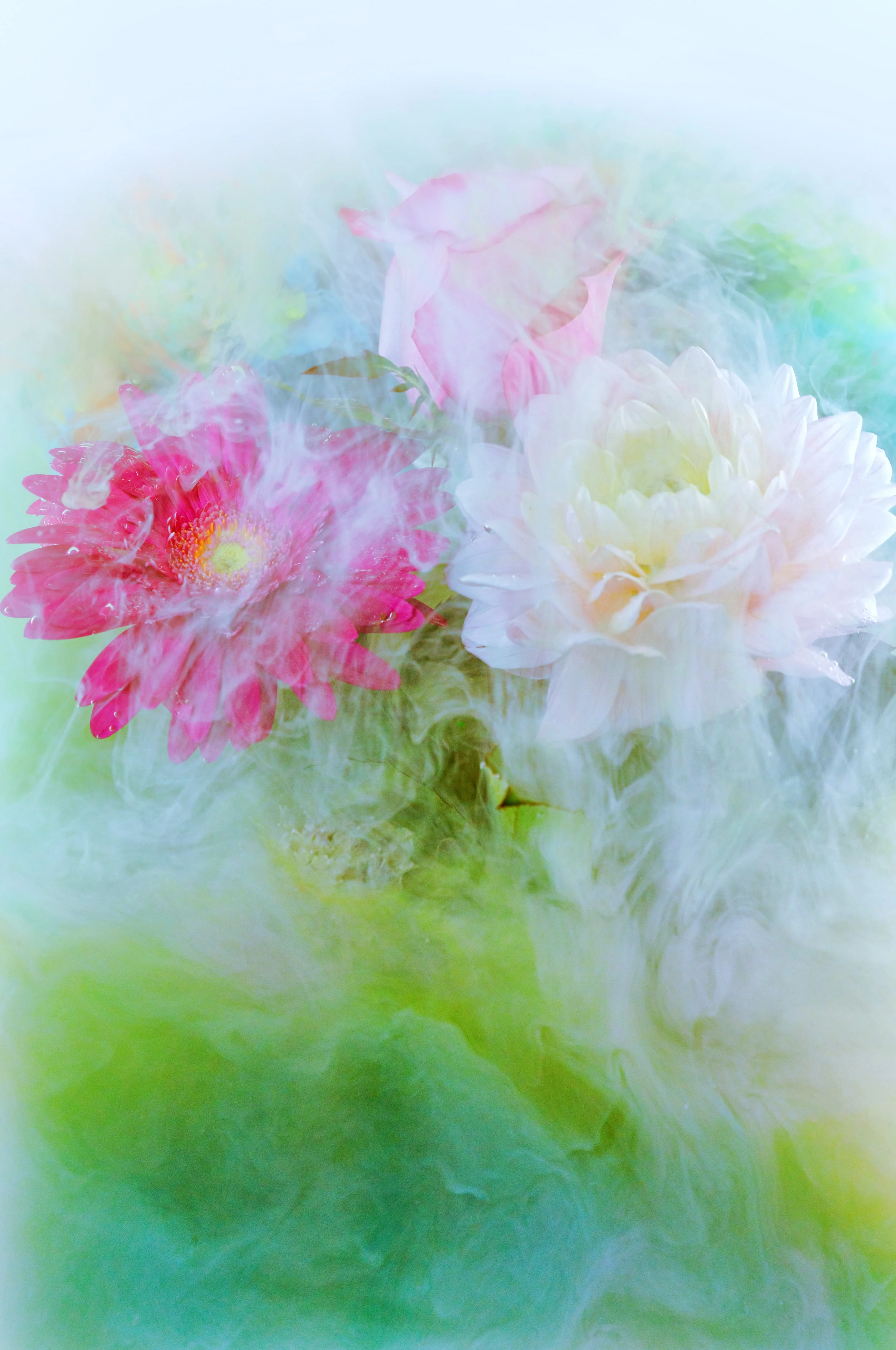 137A6924-Edit-2.jpg