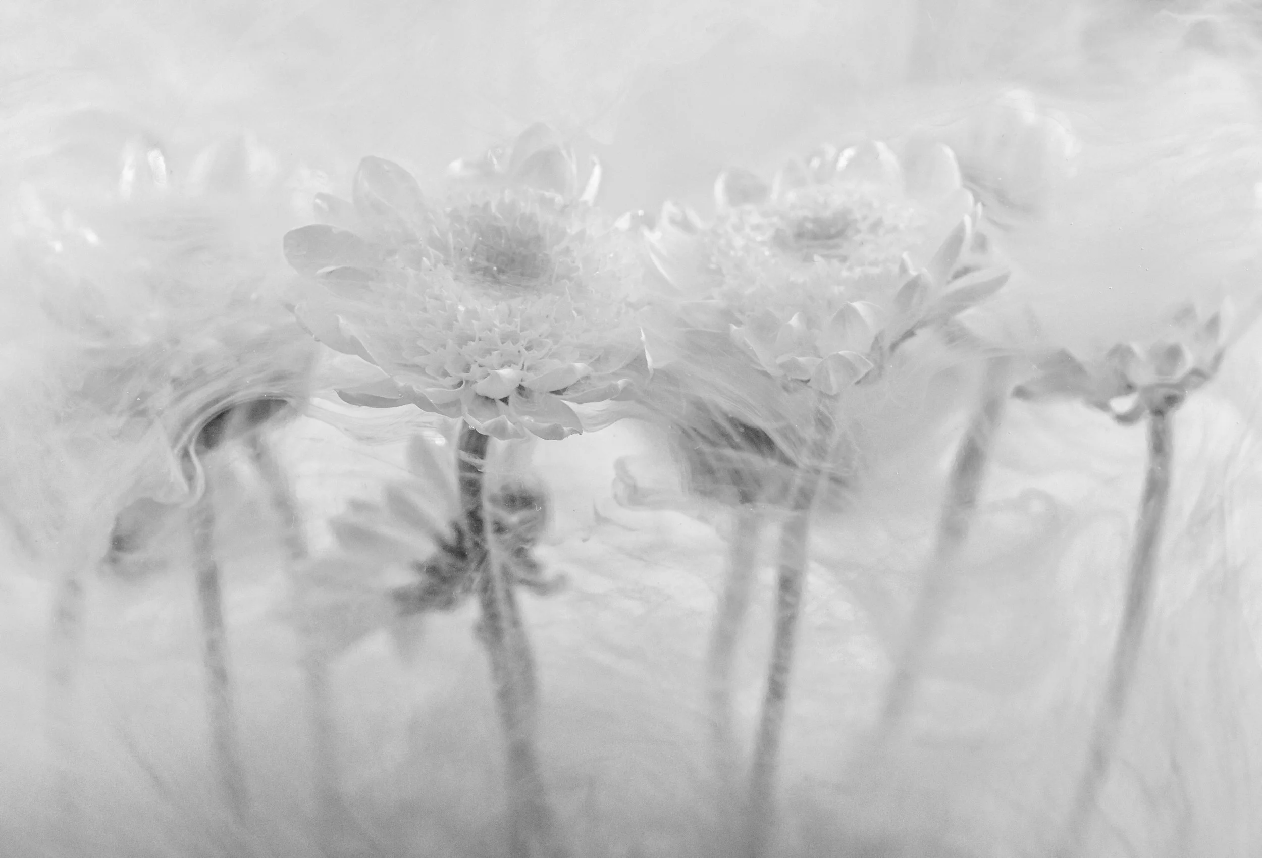 137A7305-Edit-Edit.jpg
