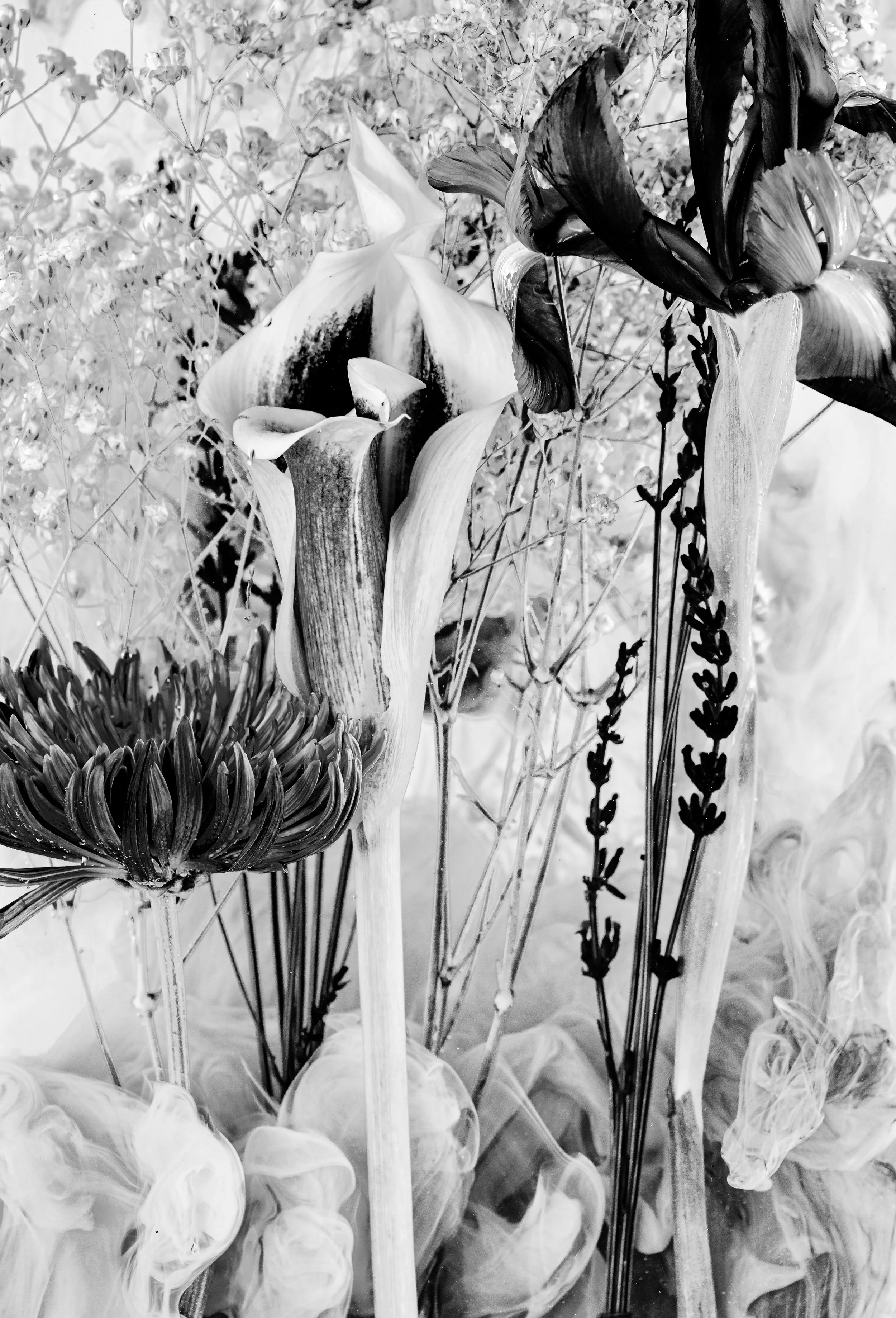 137A6783-Edit.jpg