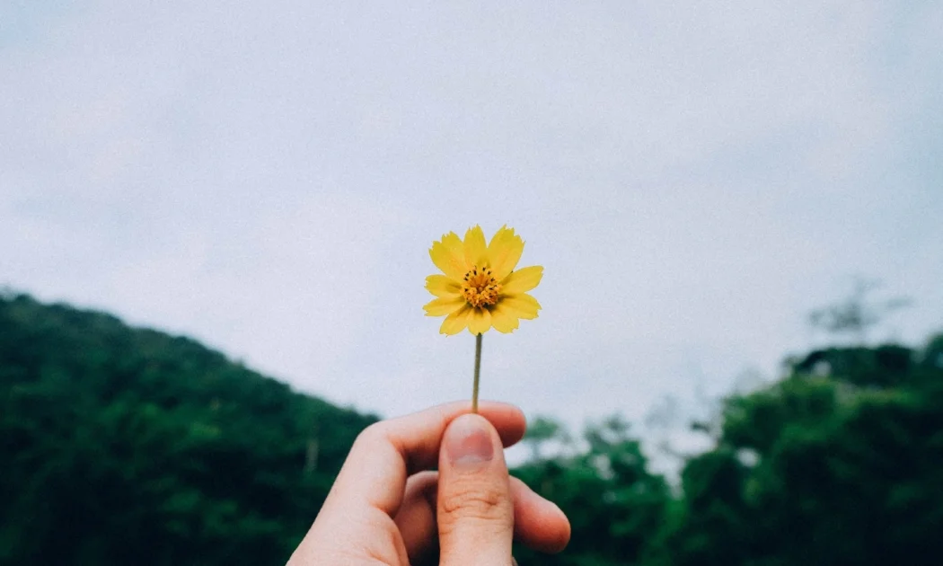 kawin-harasai-221616-unsplash.jpg