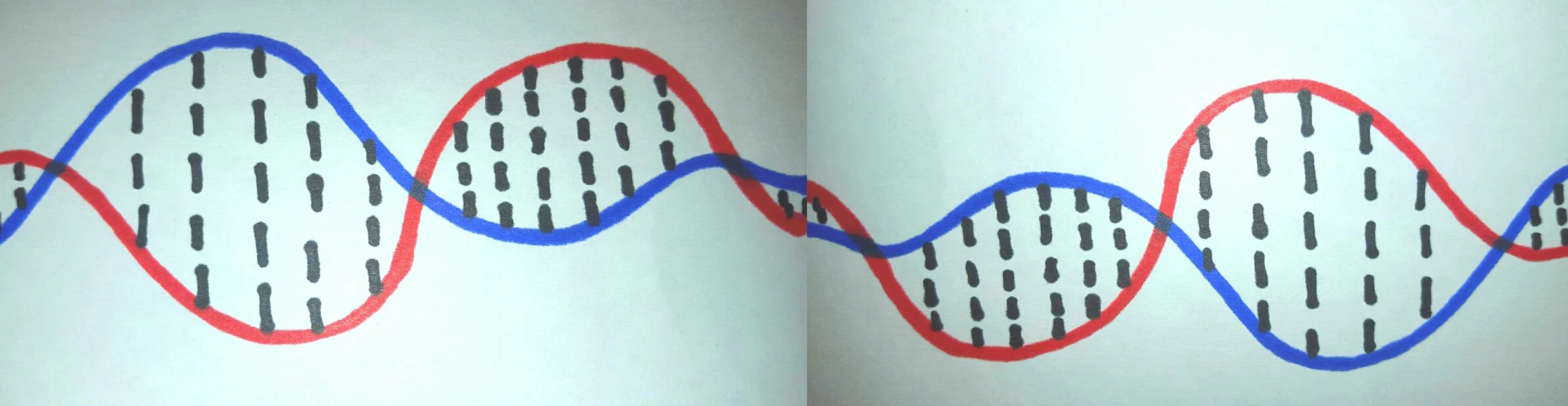DNA Part 5