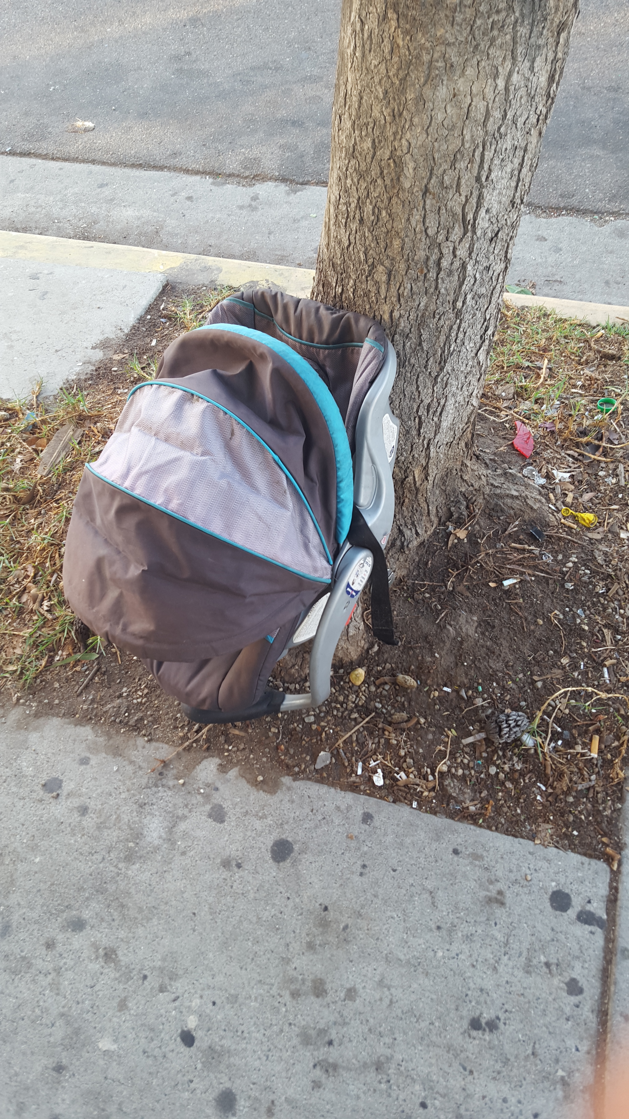 The Morning Walk 12/15/15