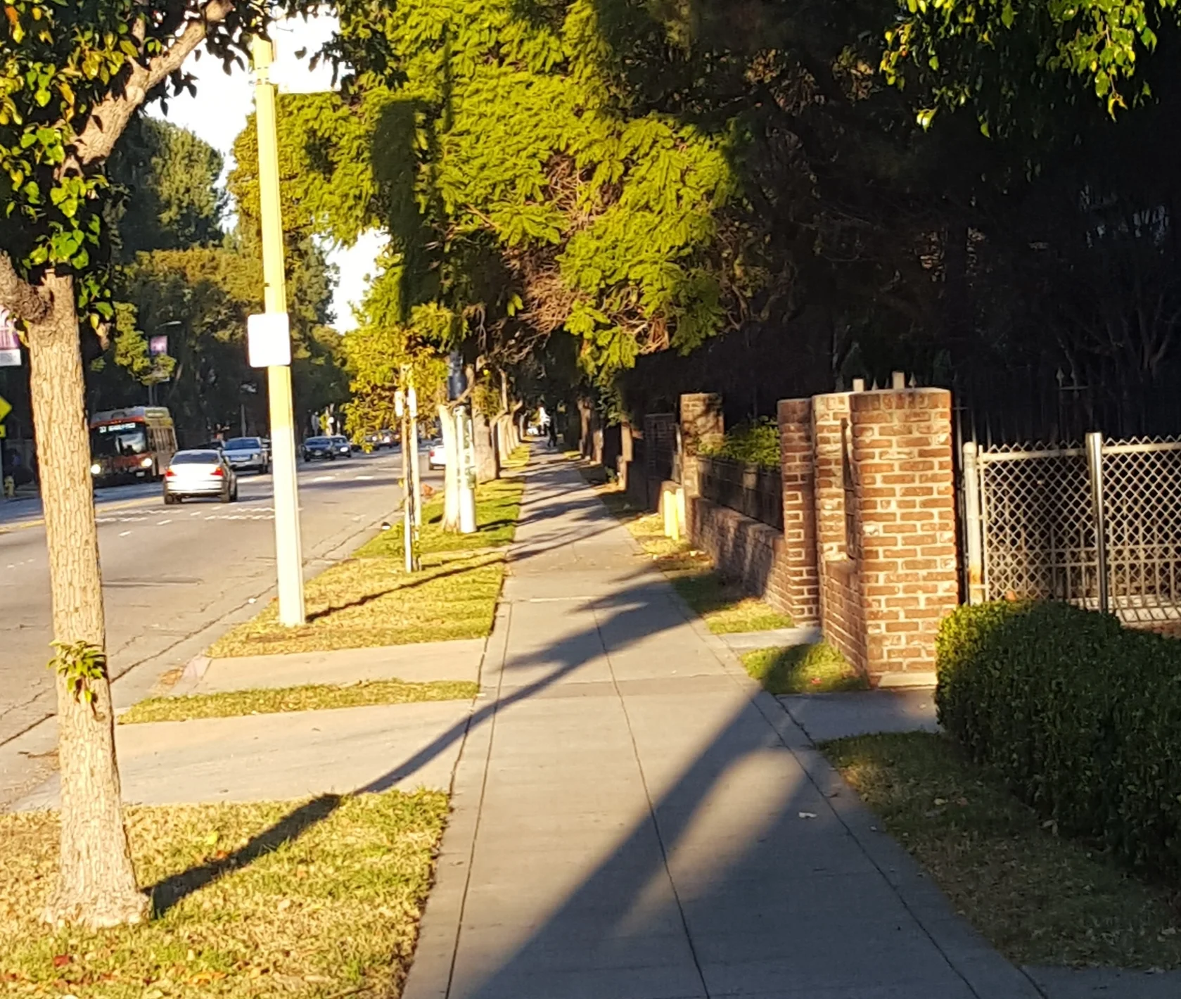 The Morning Walk 12/16/15