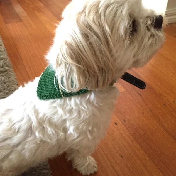 Doggy kerchief green 