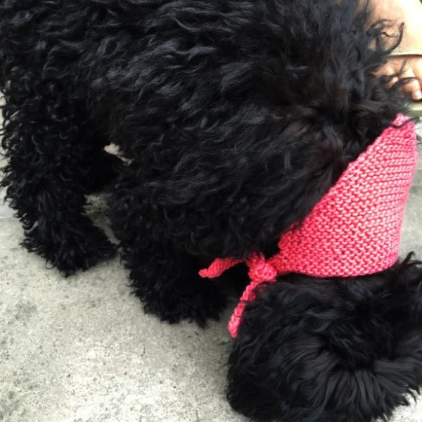 Doggy kerchief hot pink