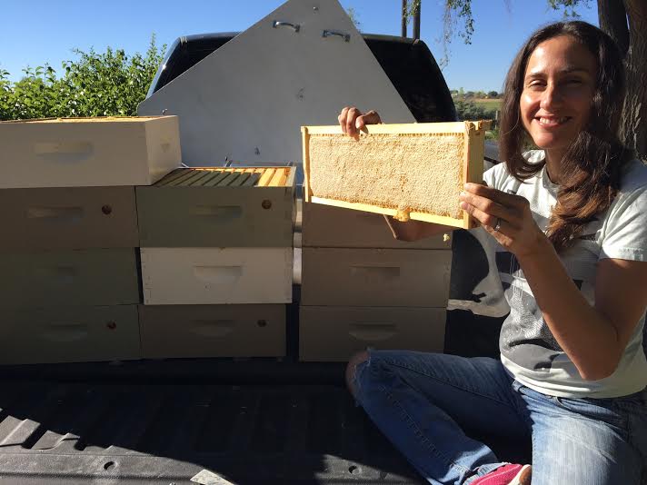 This is our truck full of medium boxes and a frame full of honey. This frame was loaded and weighed about 6 pounds!