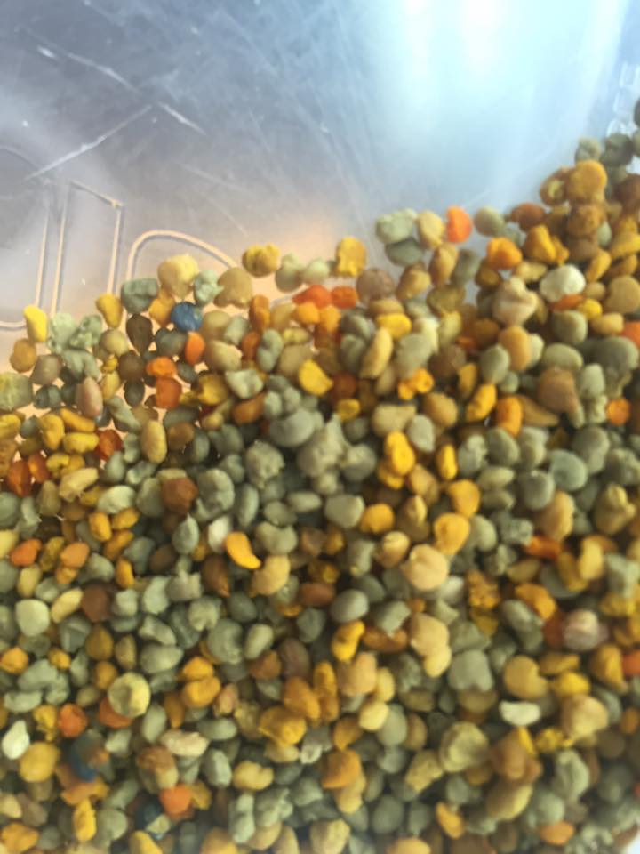 This is a picture of our first pollen harvest! Notice the different colors of pollen which make up the diversity of different plants they come from...