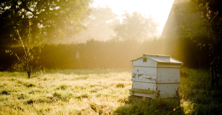 1949-walnuts-farm-film-and-photographic-rustic-shoot-location-house-bee-hive-3.jpg