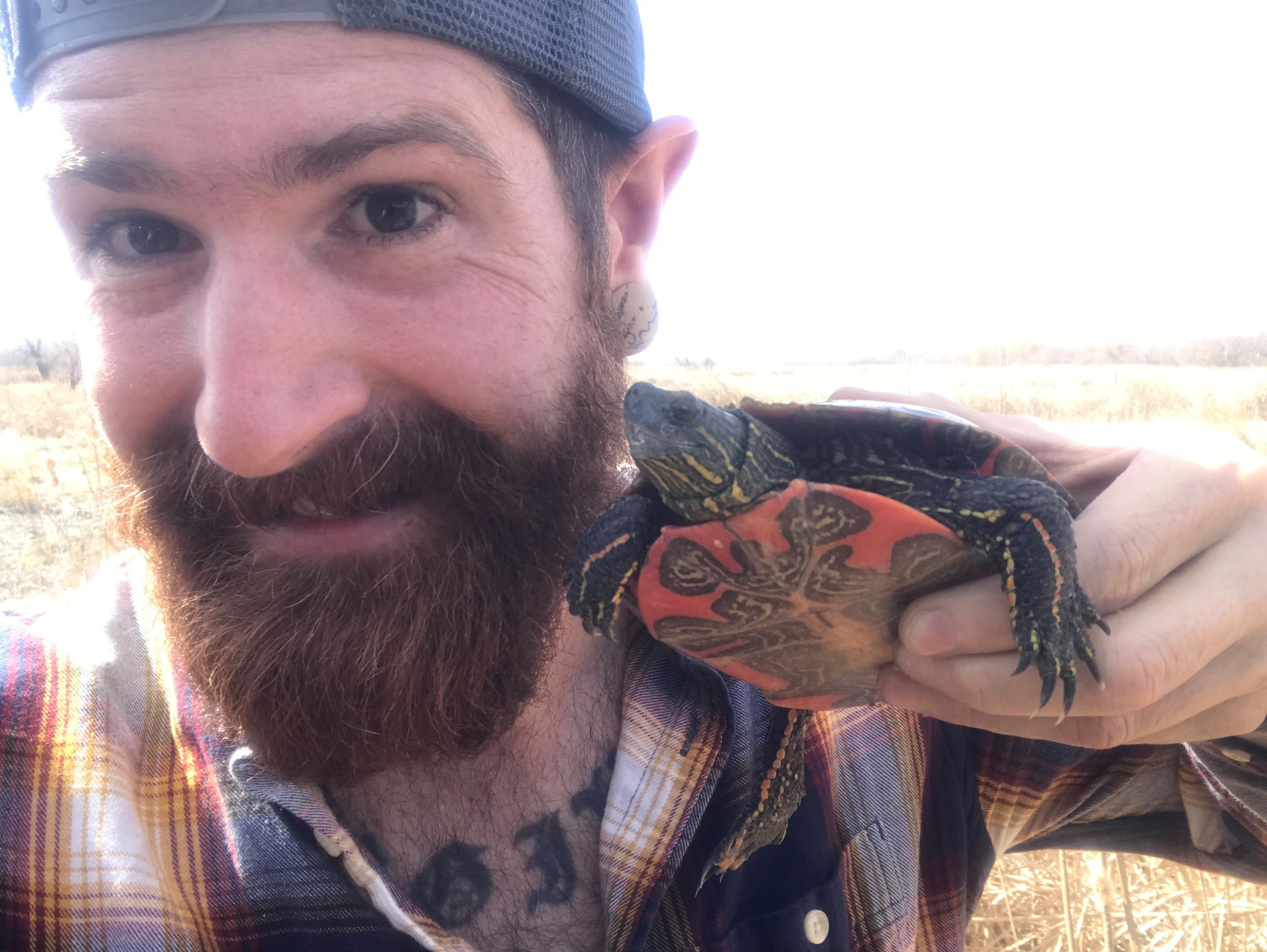 Owner, operator and head-beekeeper KJ Tencza with a painted box turtle he found by the Illuman Apiary hives. 