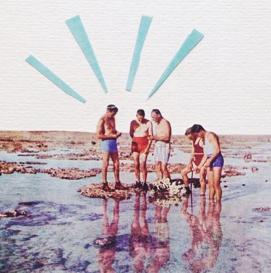 reef_collage copy.jpg