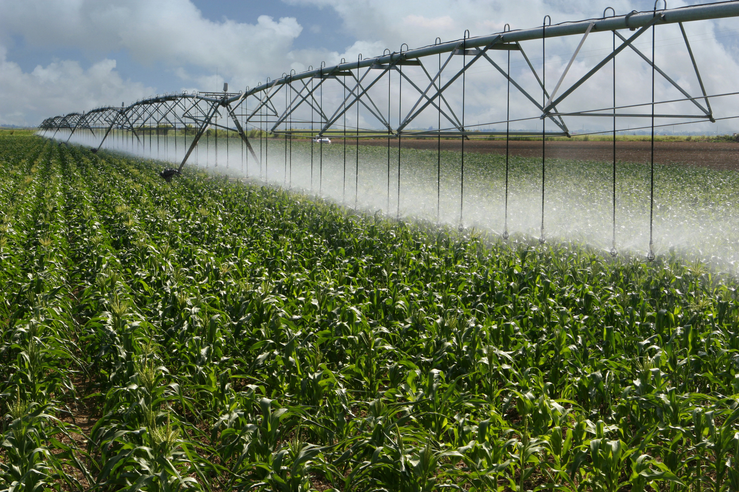 IRRIGATION SYSTEMS