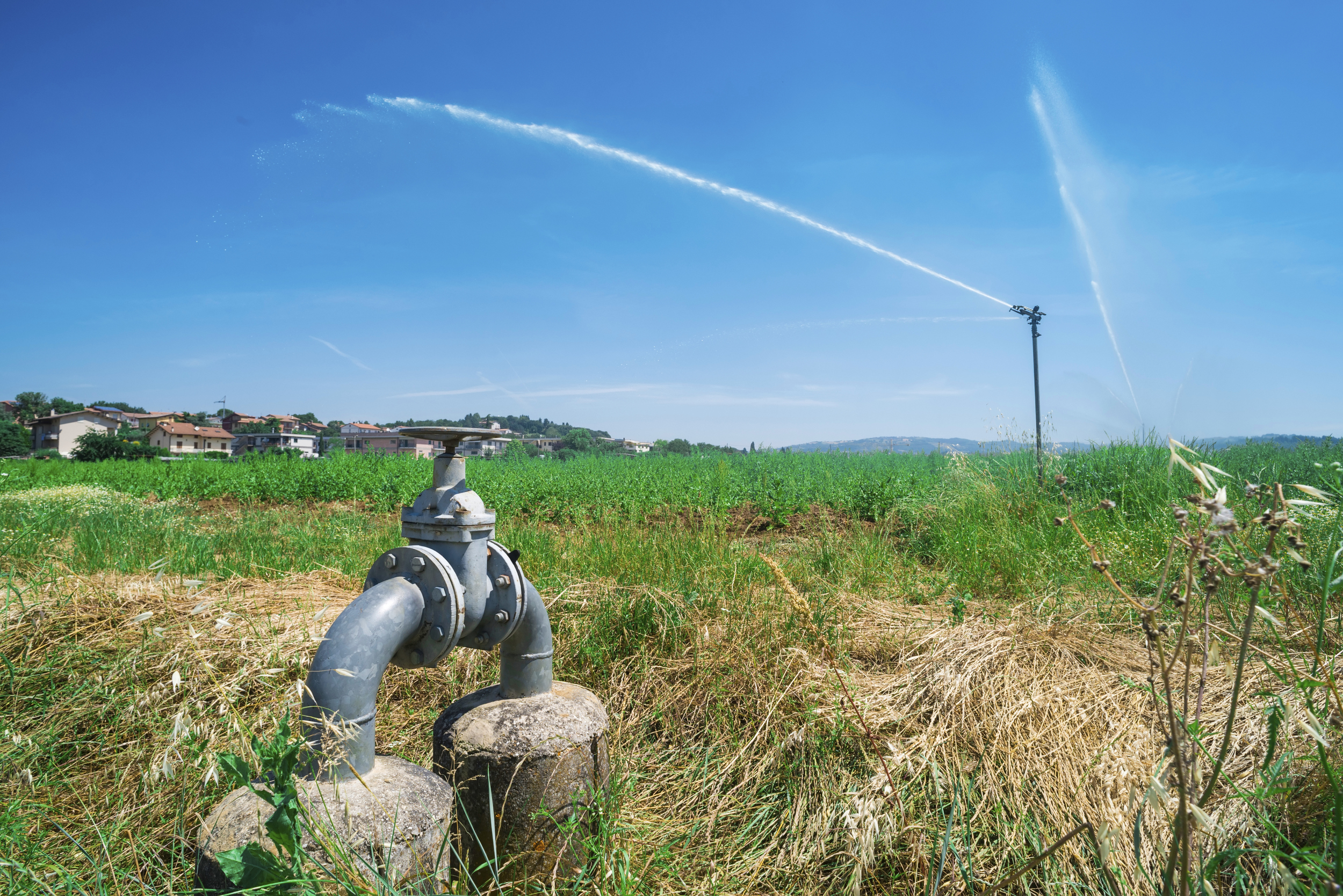 LANDSCAPE WELLS