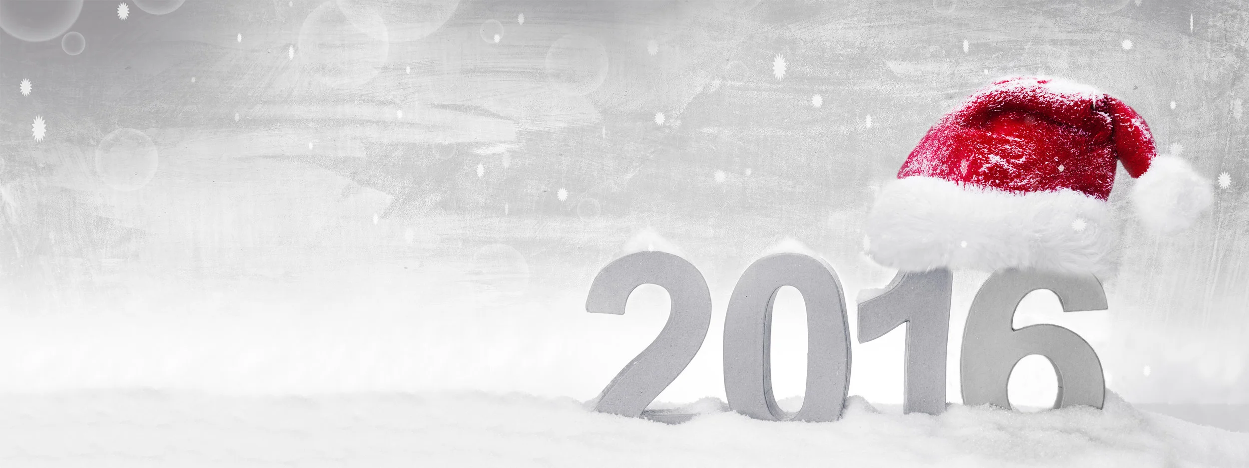 2016 - Year in Review