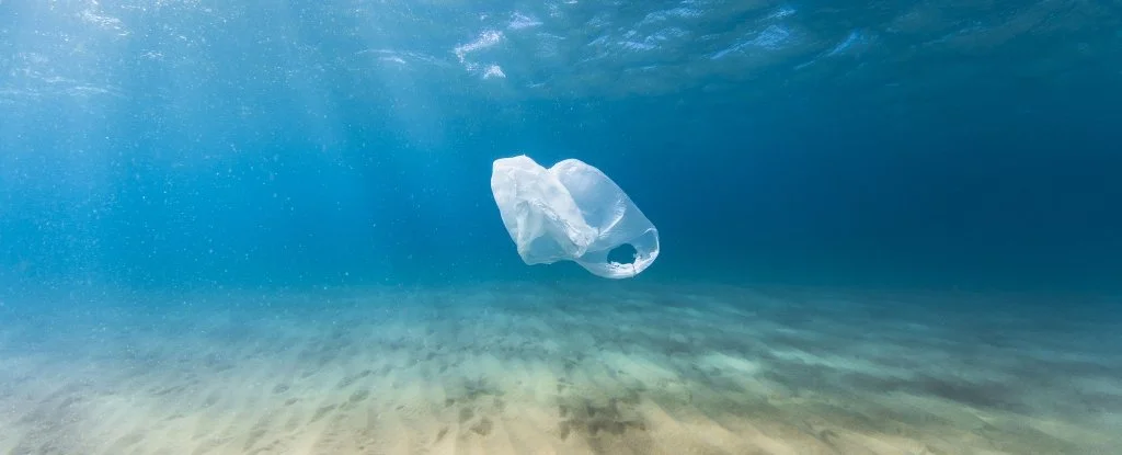 ocean-pollution_1024.jpg