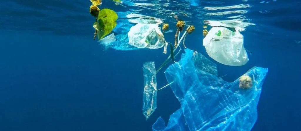 Plastic-in-Sea.jpg