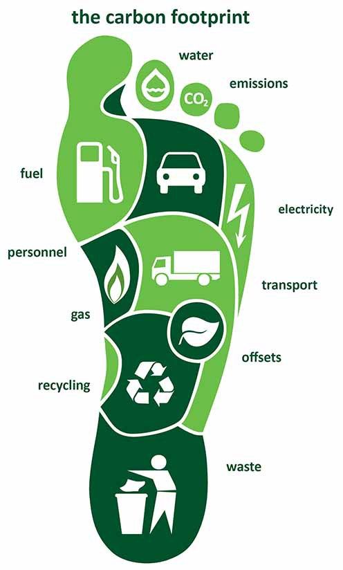 What's Your Carbon Footprint? — Elf