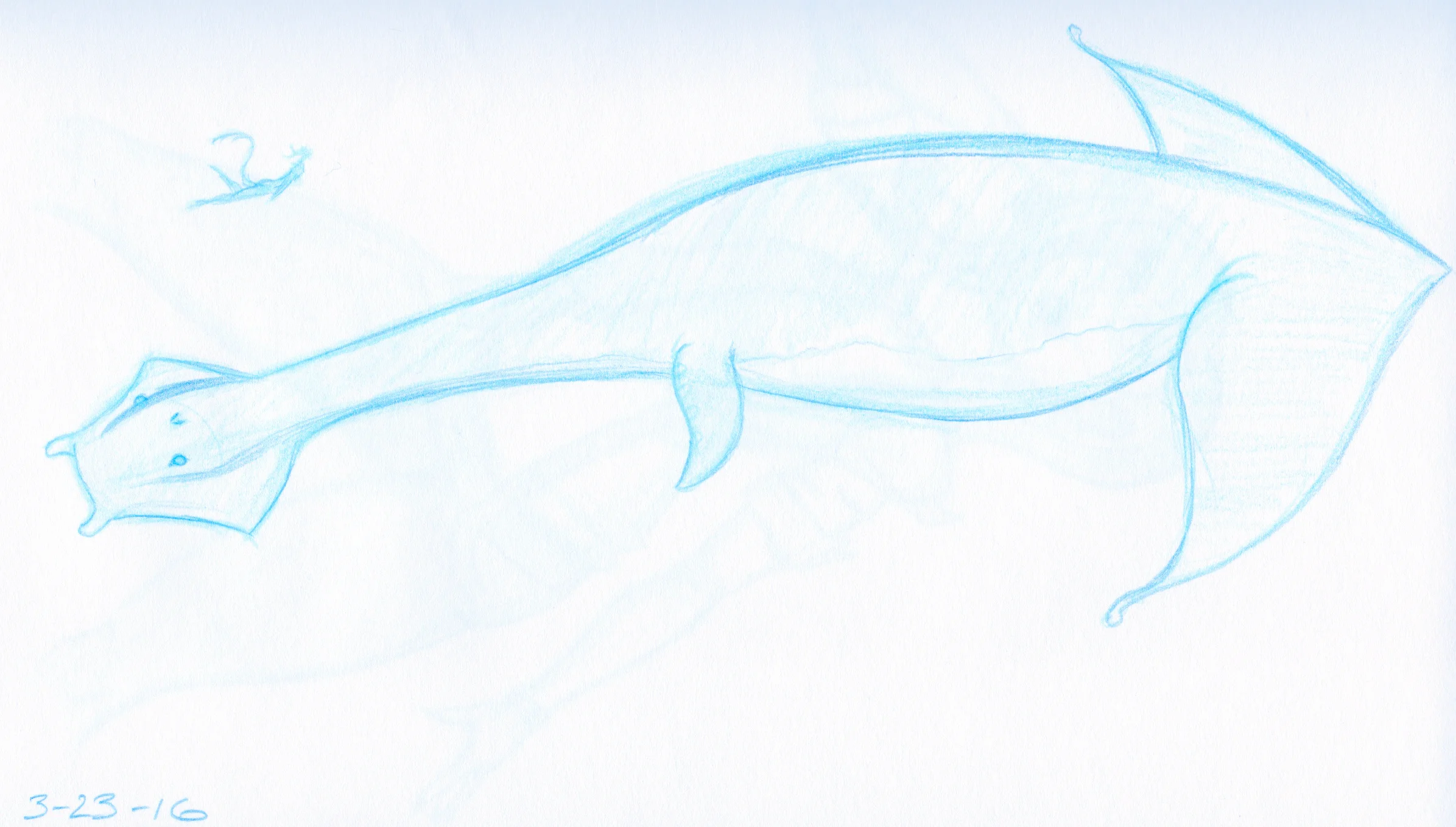 KataquraWhalesaur_3-23-16.jpeg