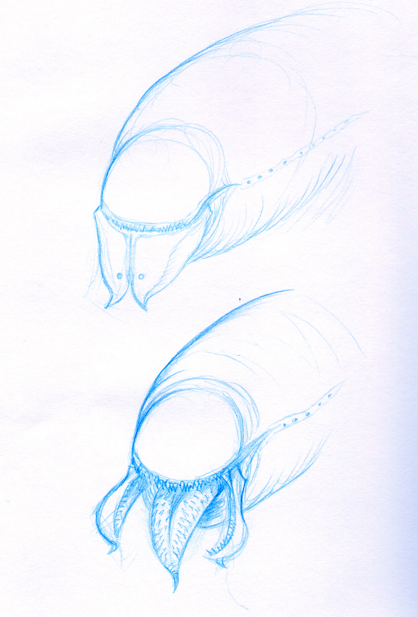 VoidWormConcept_7-7-16