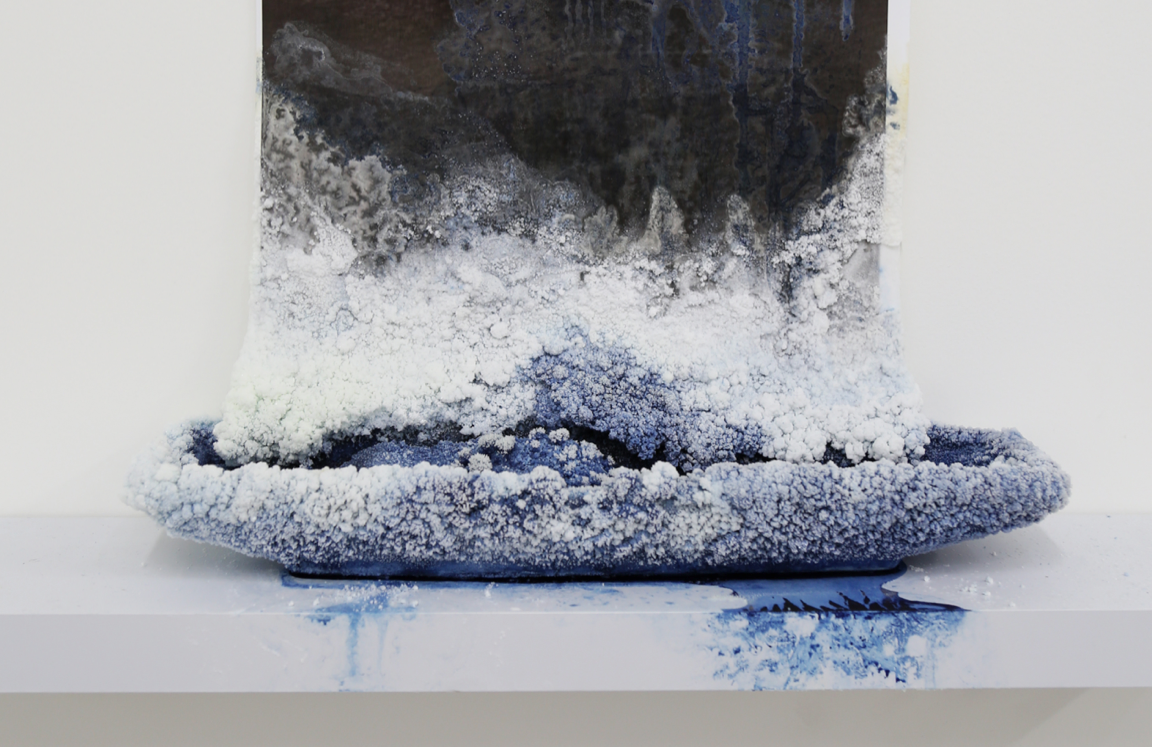 Detail - Sarah Knudston, 2014