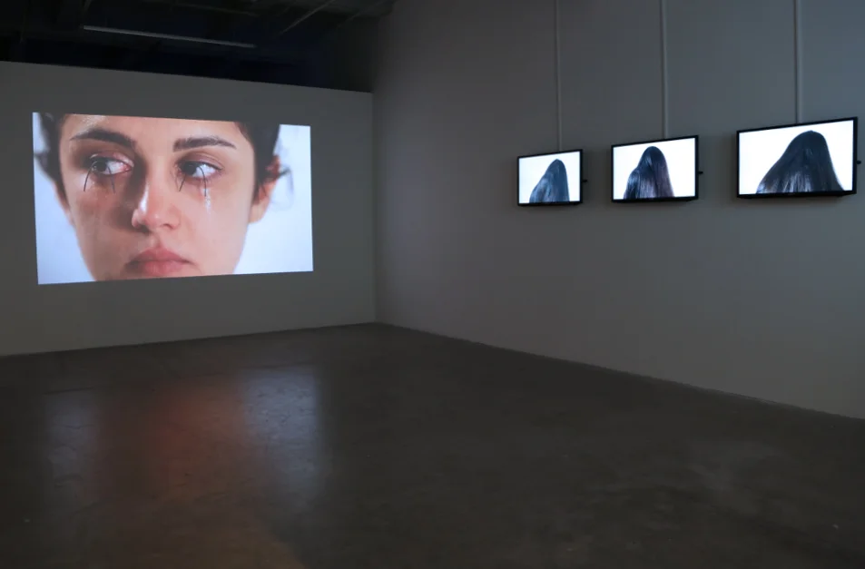 Sanaz Sohrabi, 2014