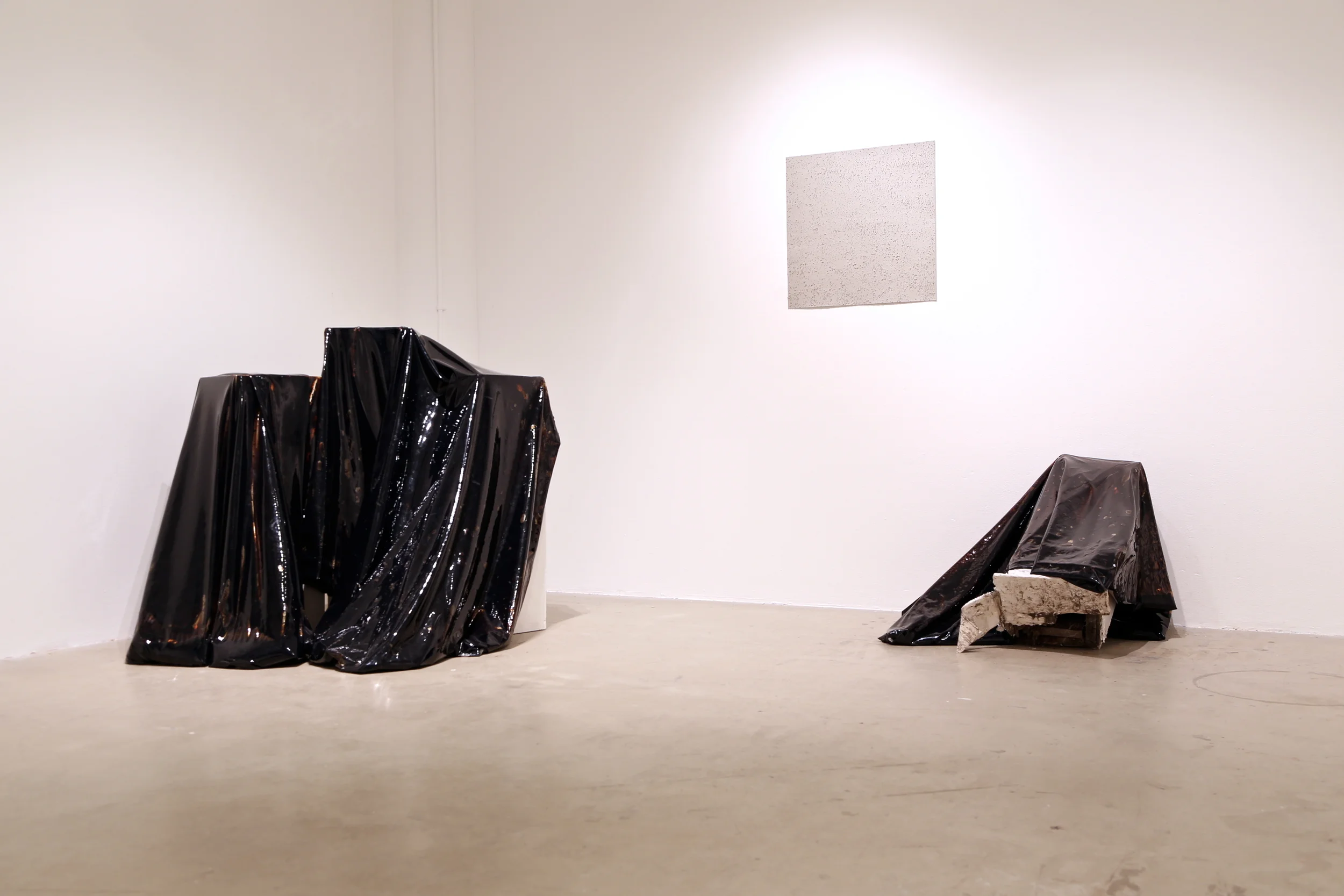  Rose Sexton (floor) and Jase Flannery (wall) 